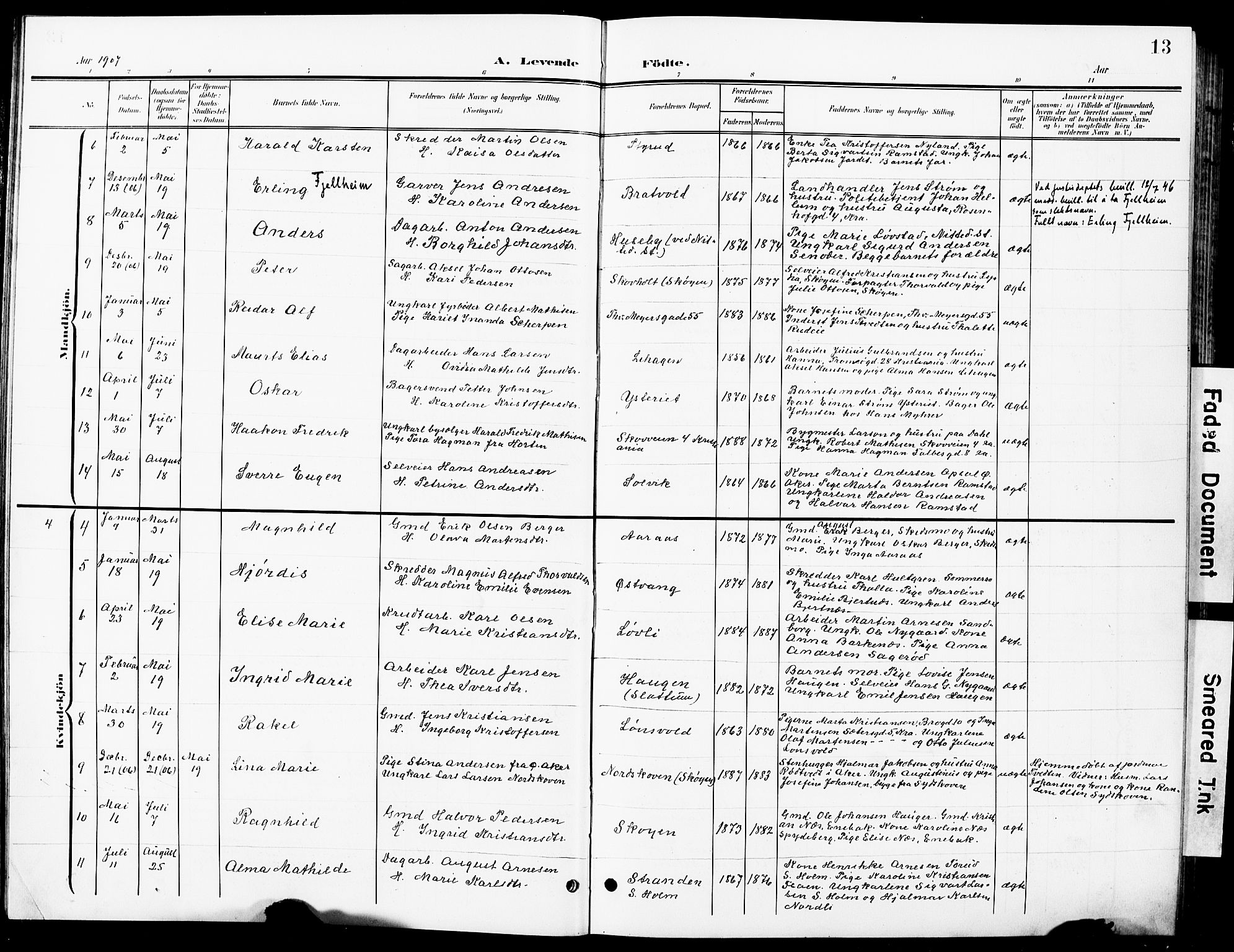 Nittedal prestekontor Kirkebøker, SAO/A-10365a/G/Ga/L0003: Parish register (copy) no. I 3, 1902-1929, p. 13