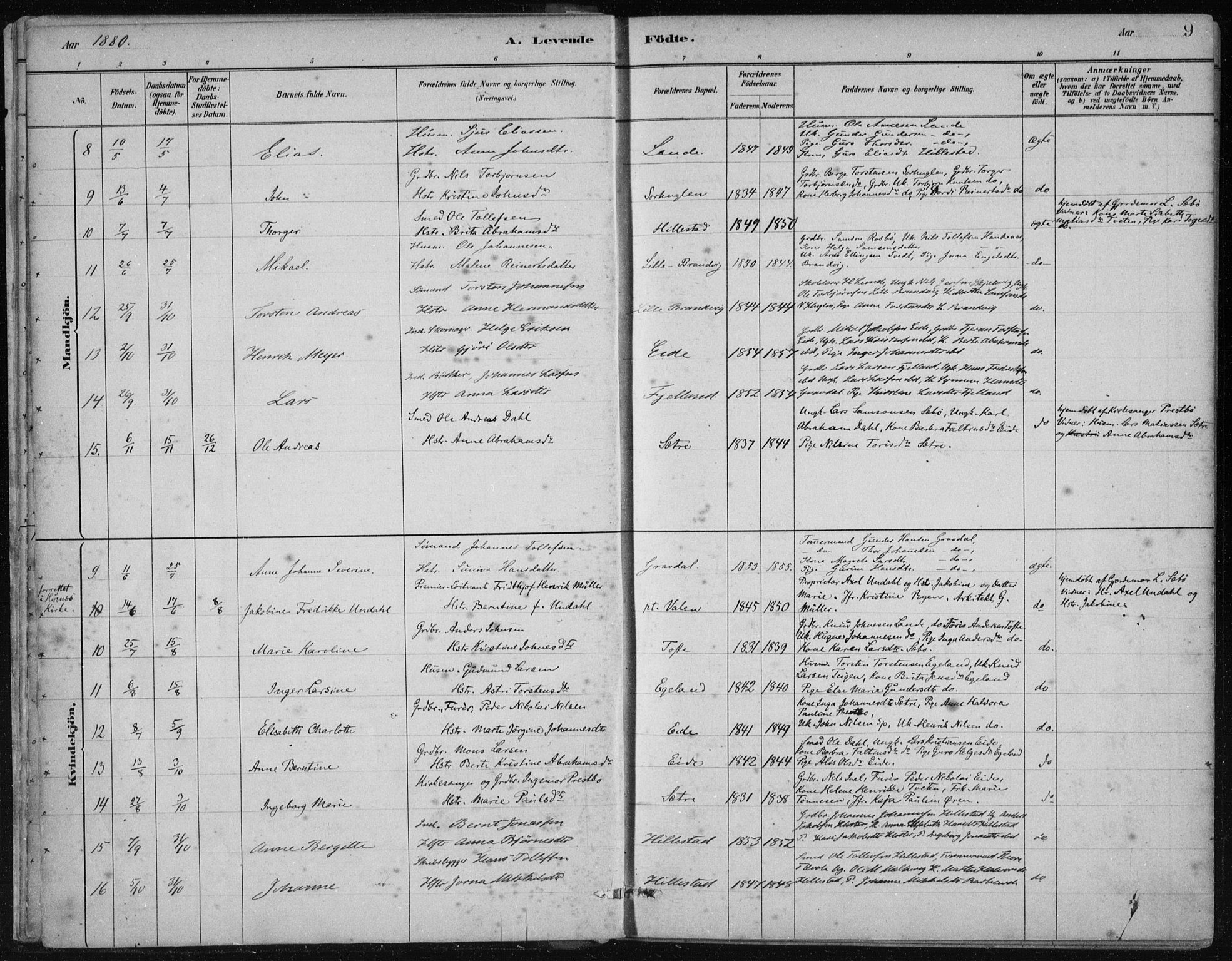 Fjelberg sokneprestembete, SAB/A-75201/H/Haa: Parish register (official) no. C  1, 1879-1918, p. 9