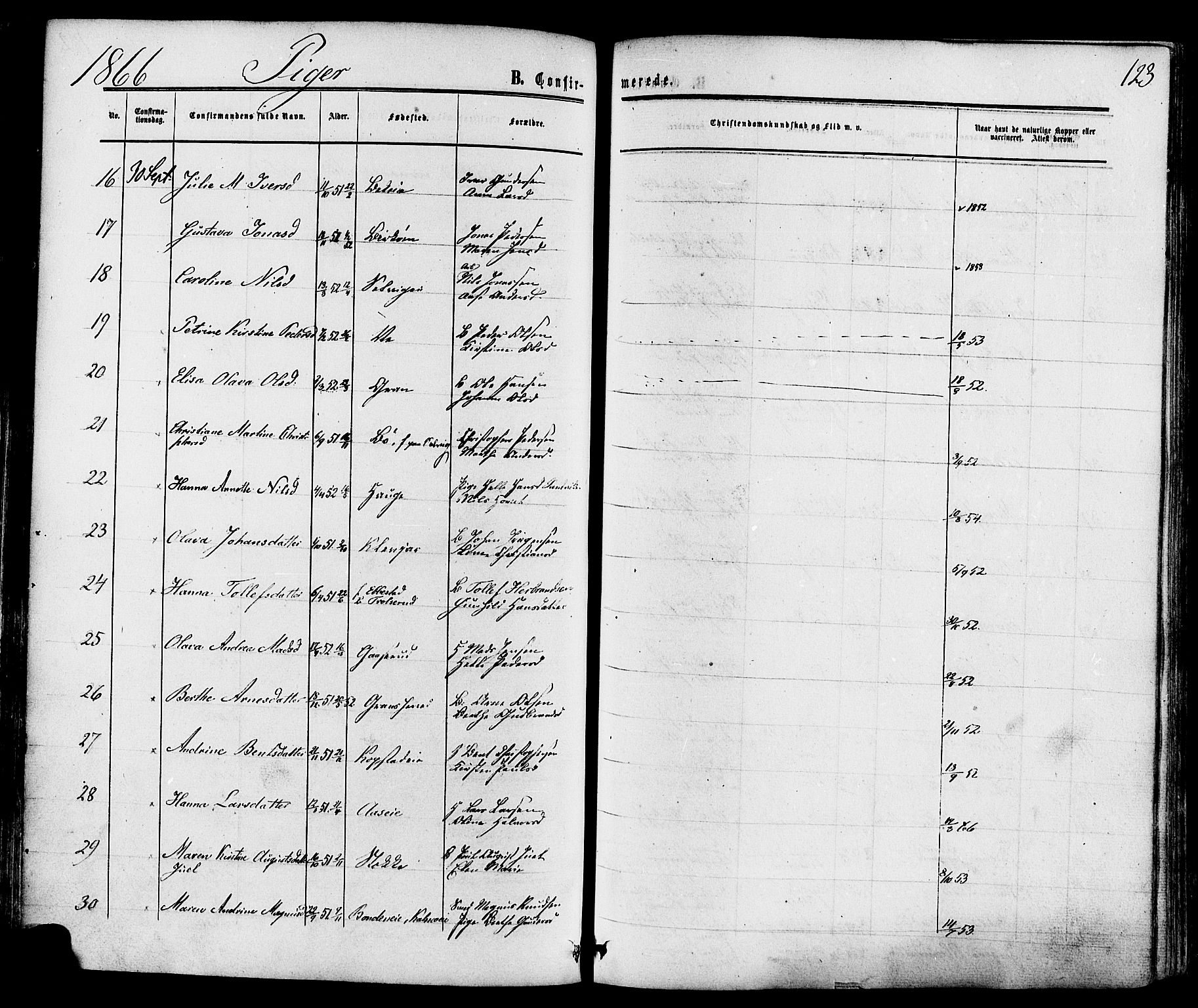 Sande Kirkebøker, AV/SAKO-A-53/F/Fa/L0005: Parish register (official) no. 5, 1865-1877, p. 123