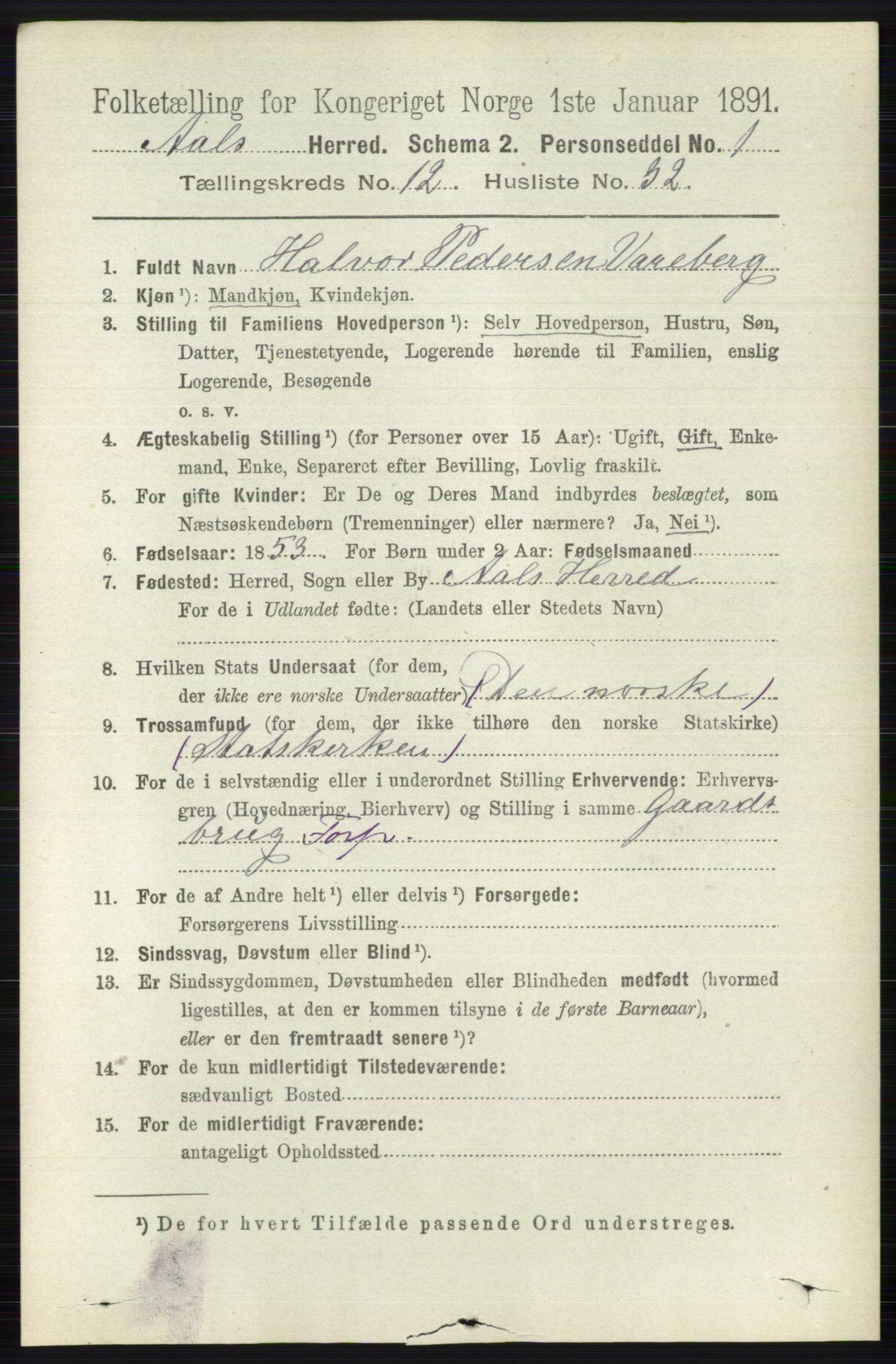 RA, 1891 census for 0619 Ål, 1891, p. 3191