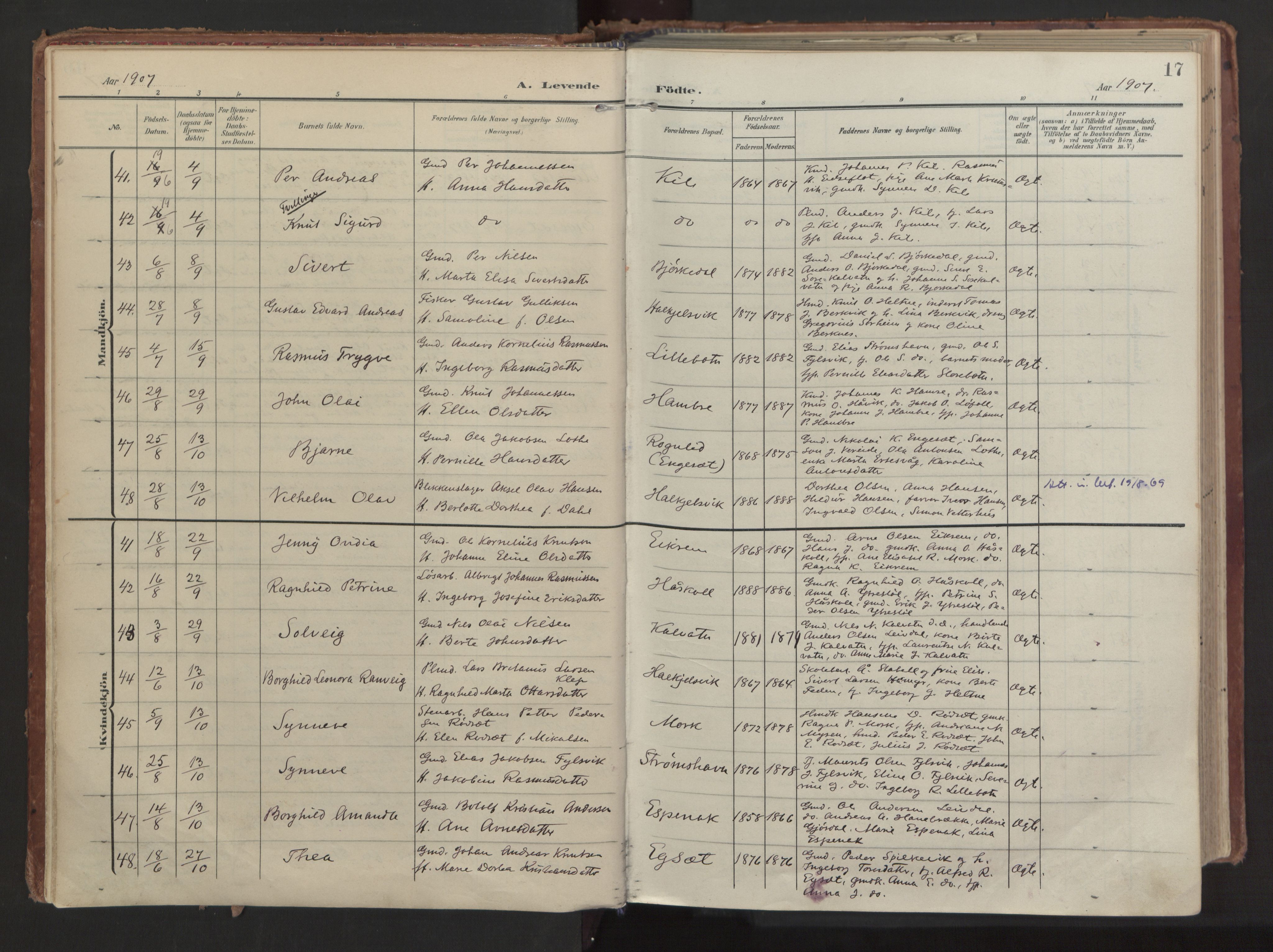 Ministerialprotokoller, klokkerbøker og fødselsregistre - Møre og Romsdal, AV/SAT-A-1454/511/L0144: Parish register (official) no. 511A11, 1906-1923, p. 17