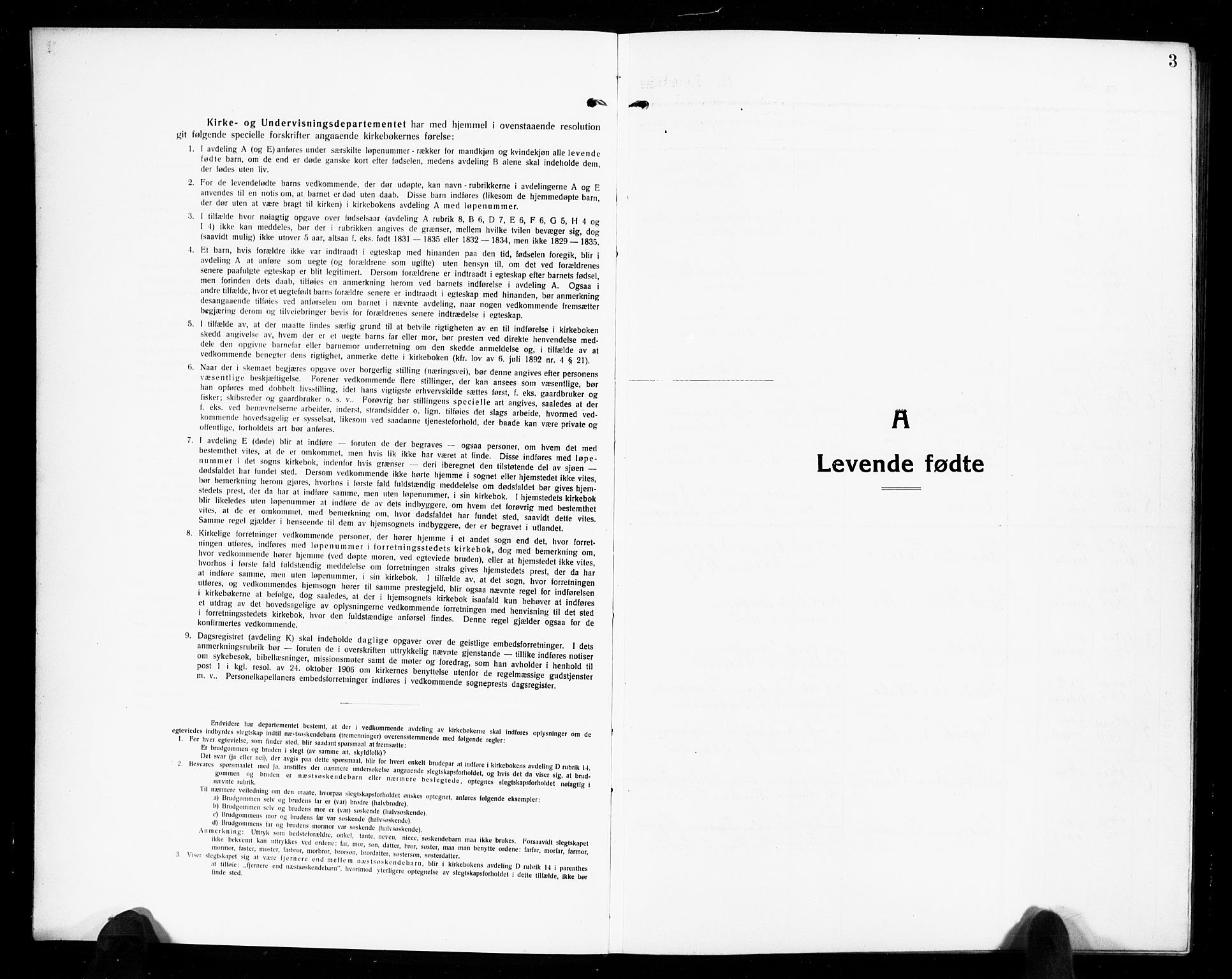 Solum kirkebøker, SAKO/A-306/G/Gb/L0006: Parish register (copy) no. II 6, 1915-1927, p. 3