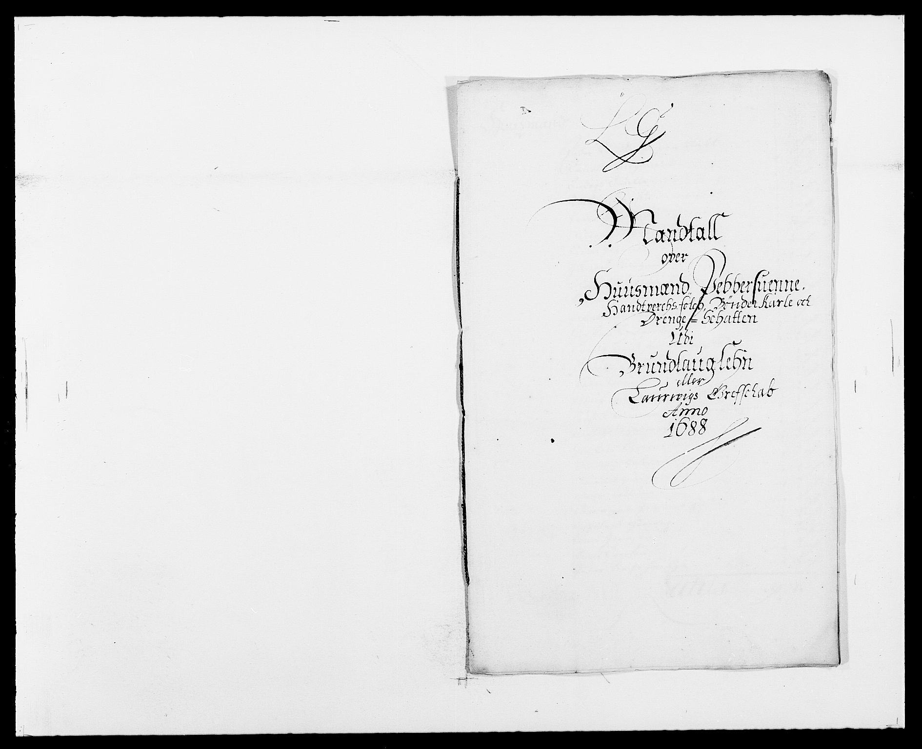 Rentekammeret inntil 1814, Reviderte regnskaper, Fogderegnskap, RA/EA-4092/R33/L1971: Fogderegnskap Larvik grevskap, 1688-1689, p. 128
