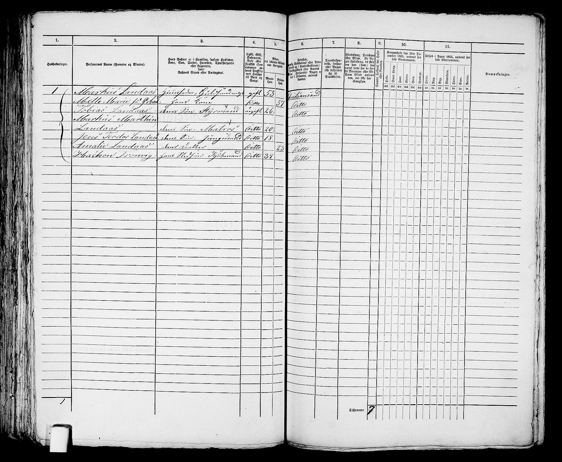 RA, 1865 census for Kristiansand, 1865, p. 1846