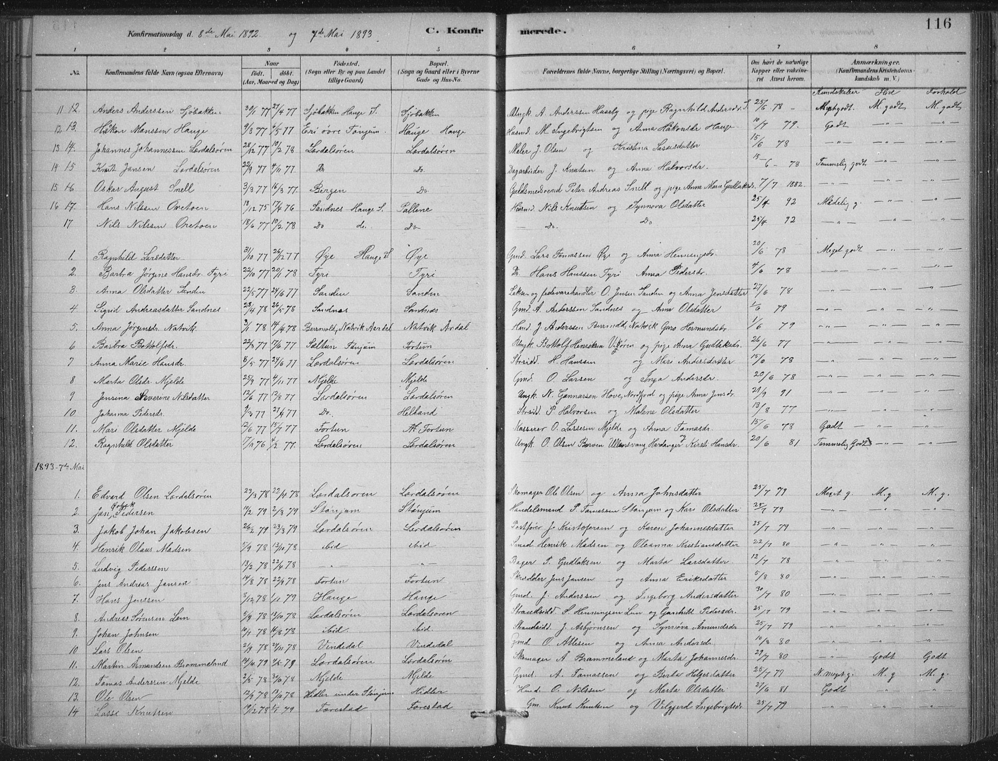 Lærdal sokneprestembete, SAB/A-81201: Parish register (official) no. D  1, 1878-1908, p. 116