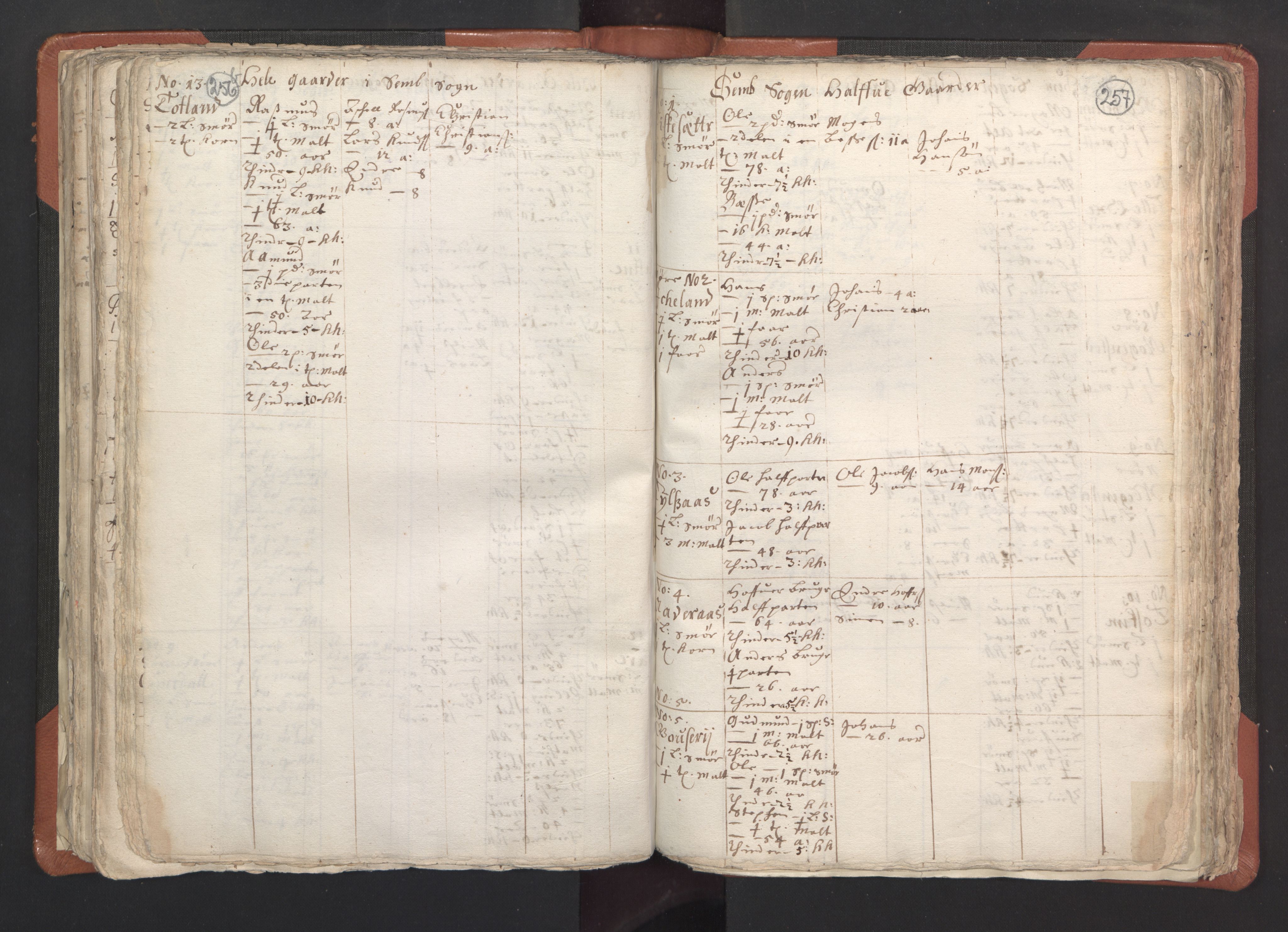 RA, Vicar's Census 1664-1666, no. 22: Nordhordland deanery, 1664-1666, p. 256-257