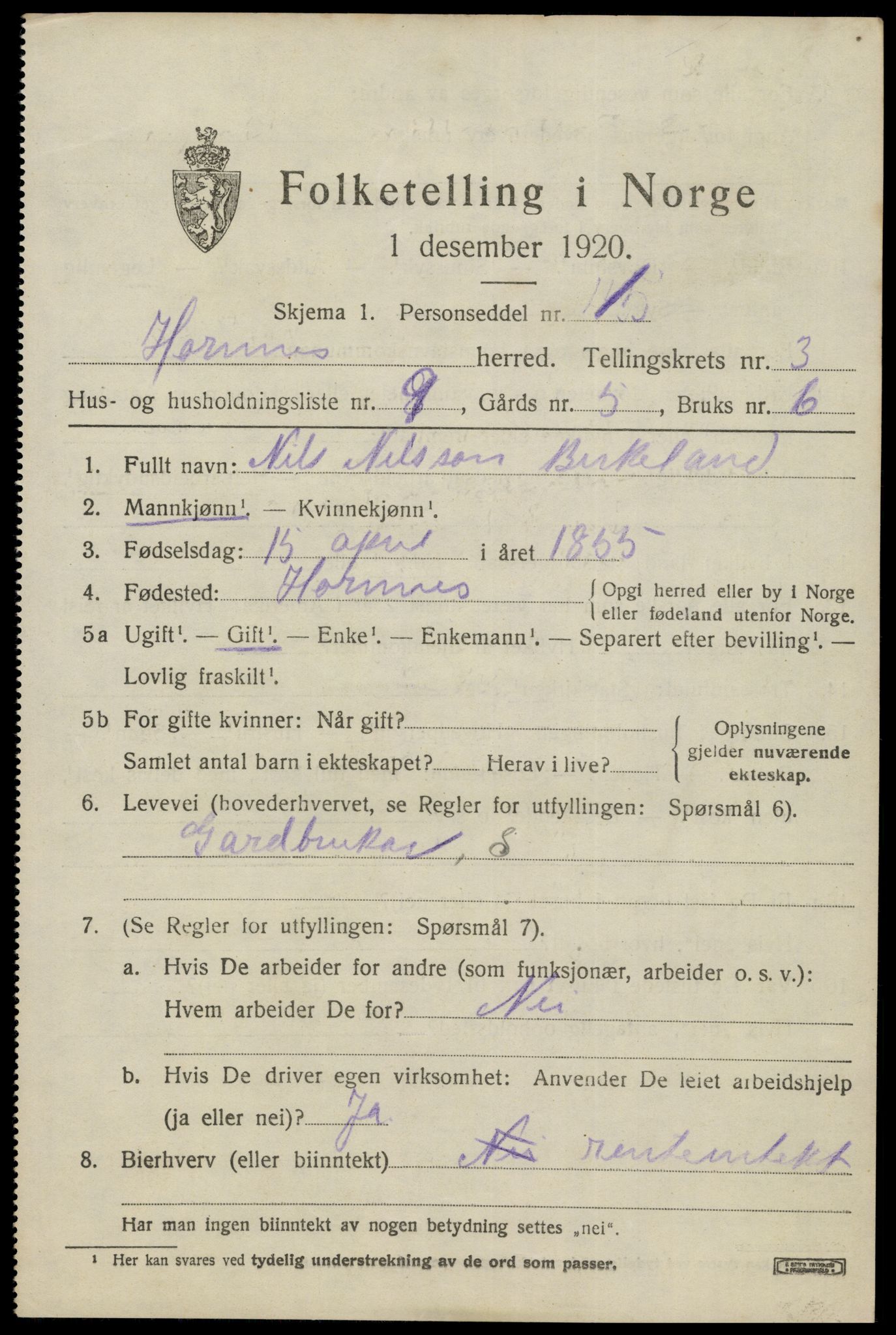 SAK, 1920 census for Hornnes, 1920, p. 895