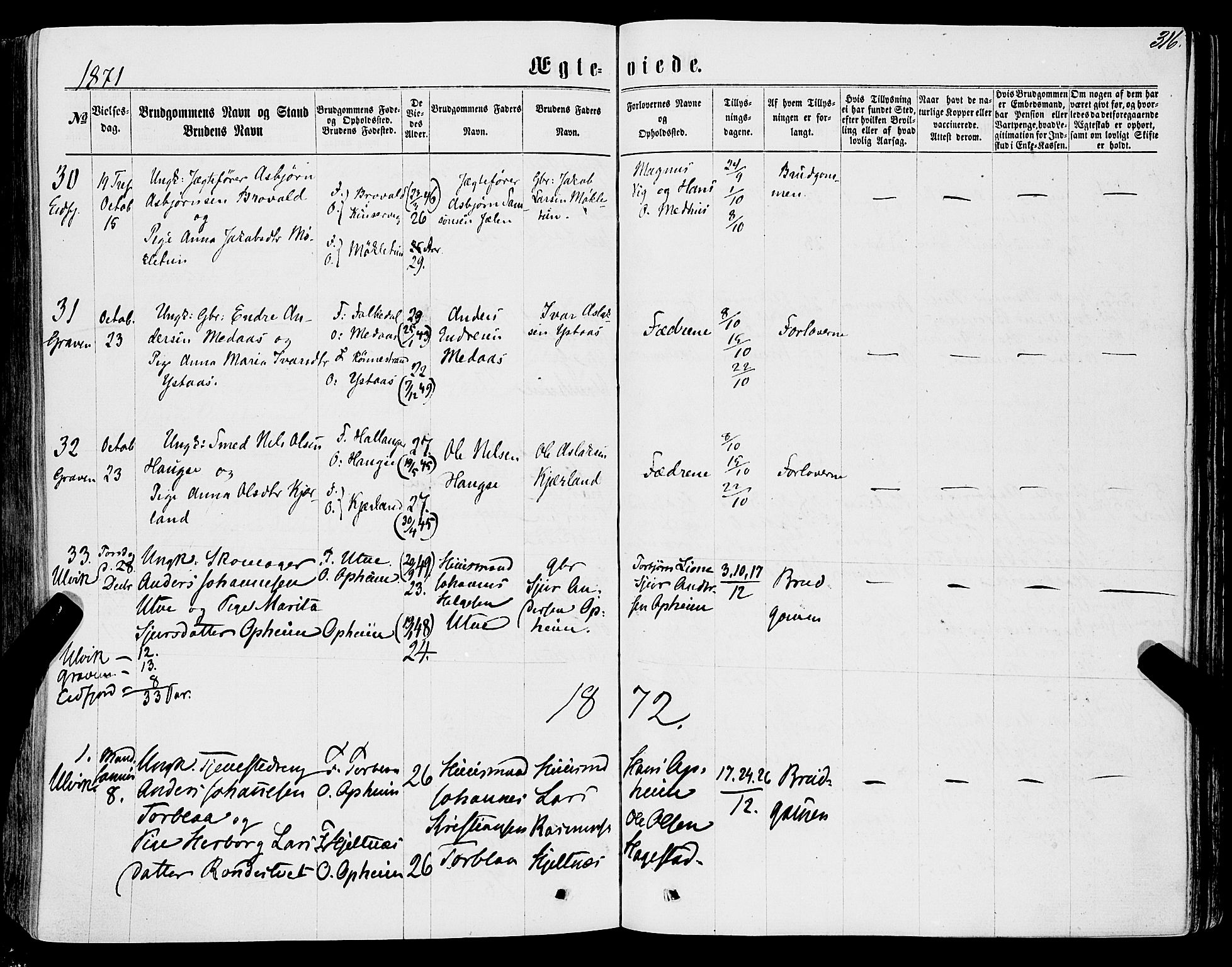 Ulvik sokneprestembete, AV/SAB-A-78801/H/Haa: Parish register (official) no. A 15, 1864-1878, p. 316