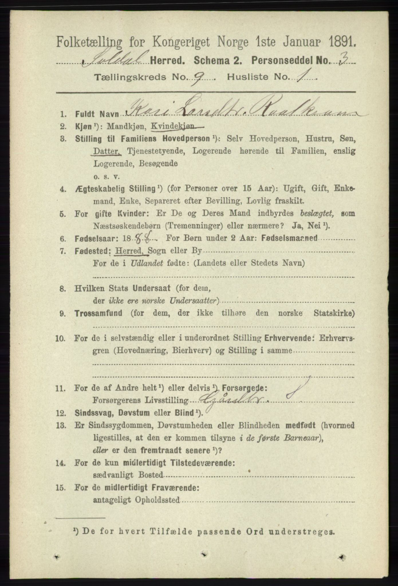 RA, 1891 census for 1134 Suldal, 1891, p. 2658