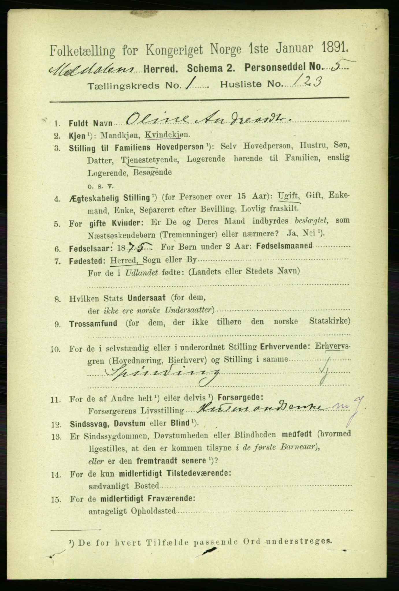 RA, 1891 census for 1636 Meldal, 1891, p. 944