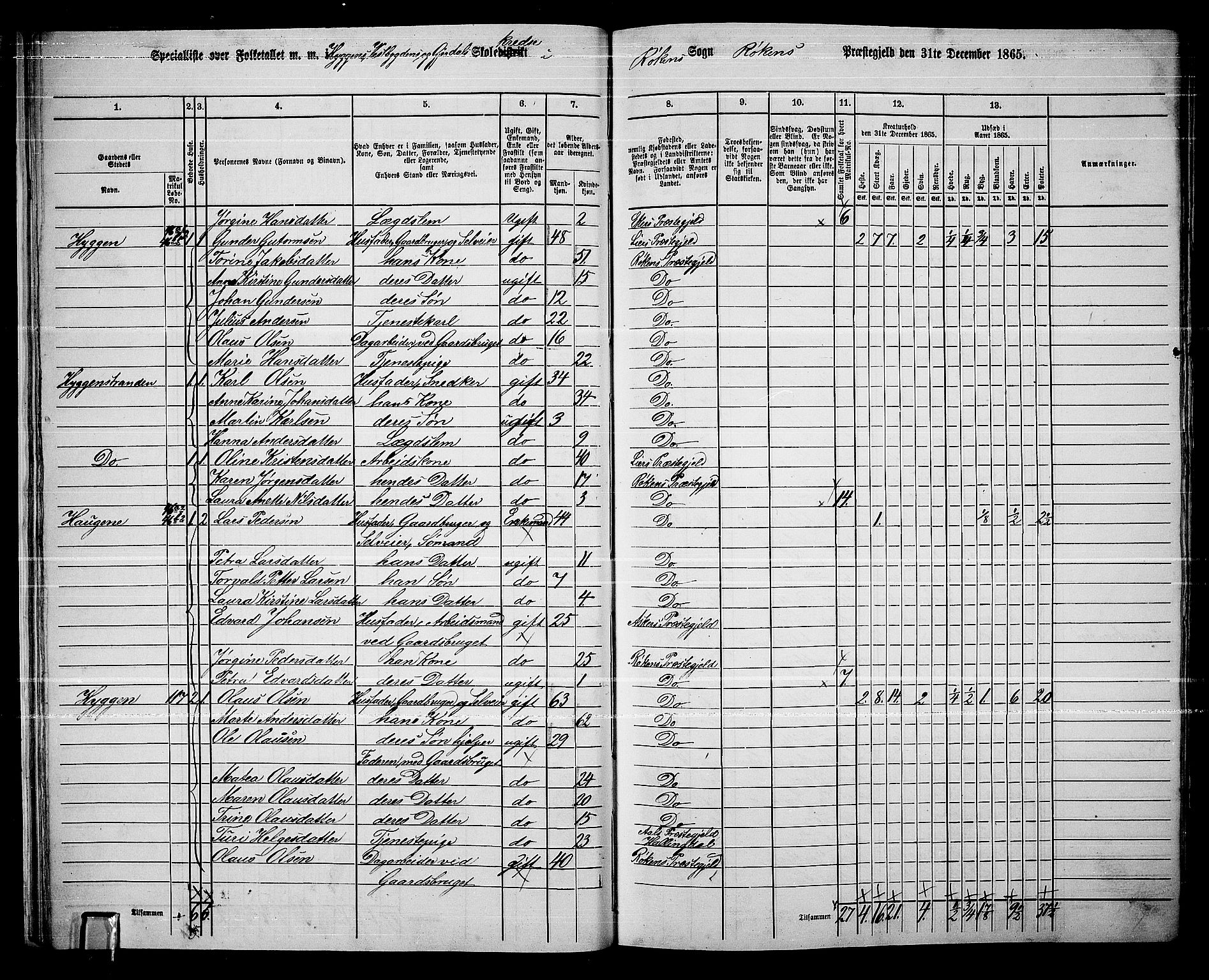 RA, 1865 census for Røyken, 1865, p. 29