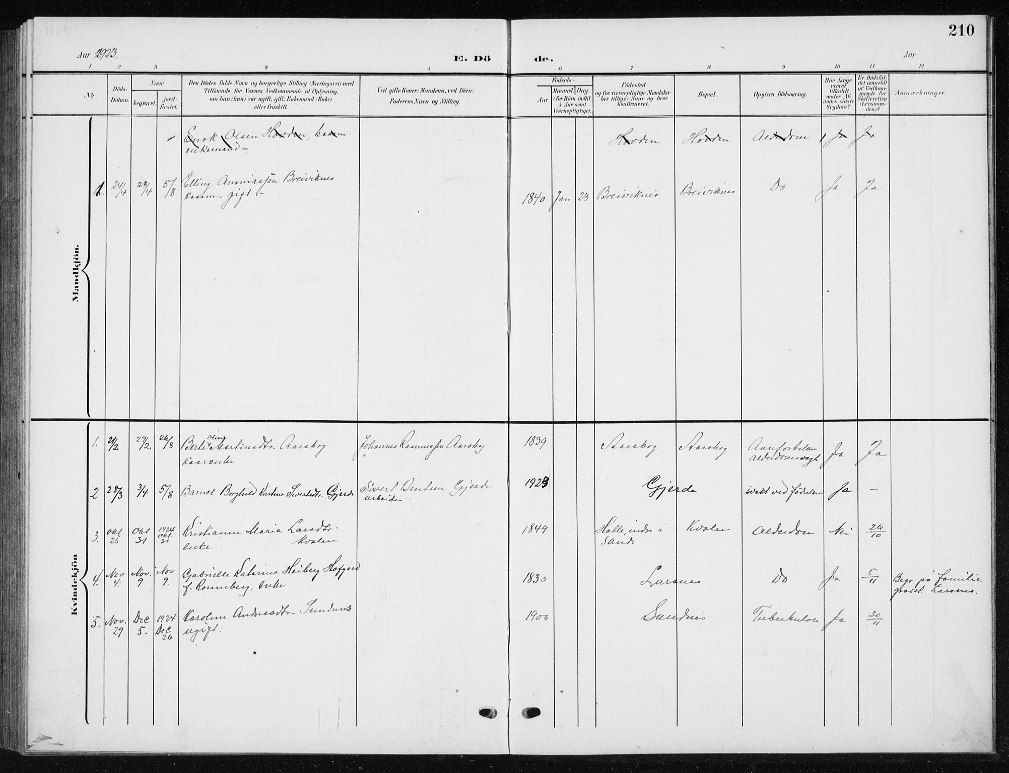 Ministerialprotokoller, klokkerbøker og fødselsregistre - Møre og Romsdal, AV/SAT-A-1454/504/L0061: Parish register (copy) no. 504C03, 1902-1940, p. 210