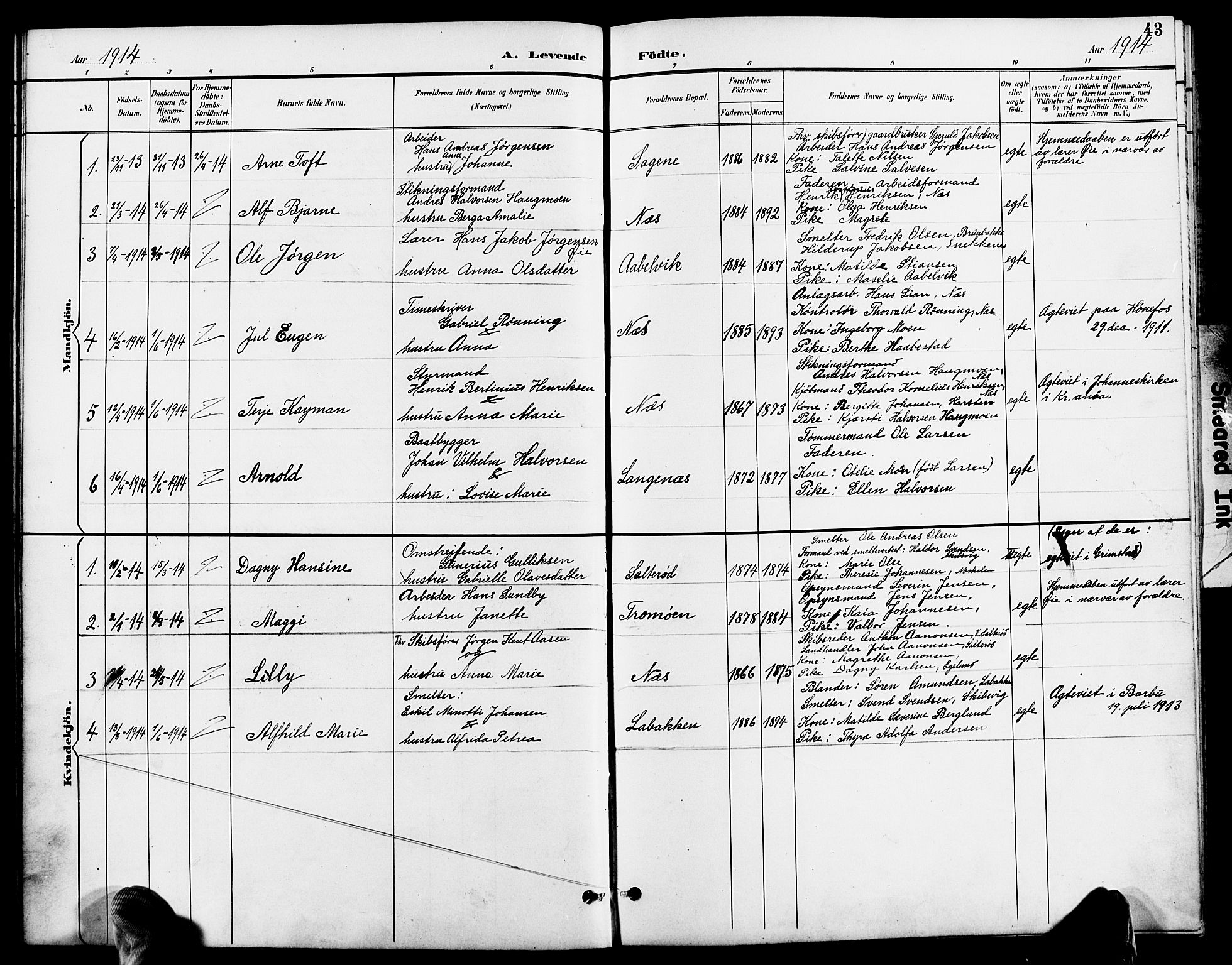 Austre Moland sokneprestkontor, AV/SAK-1111-0001/F/Fb/Fbb/L0002: Parish register (copy) no. B 2, 1894-1918, p. 43