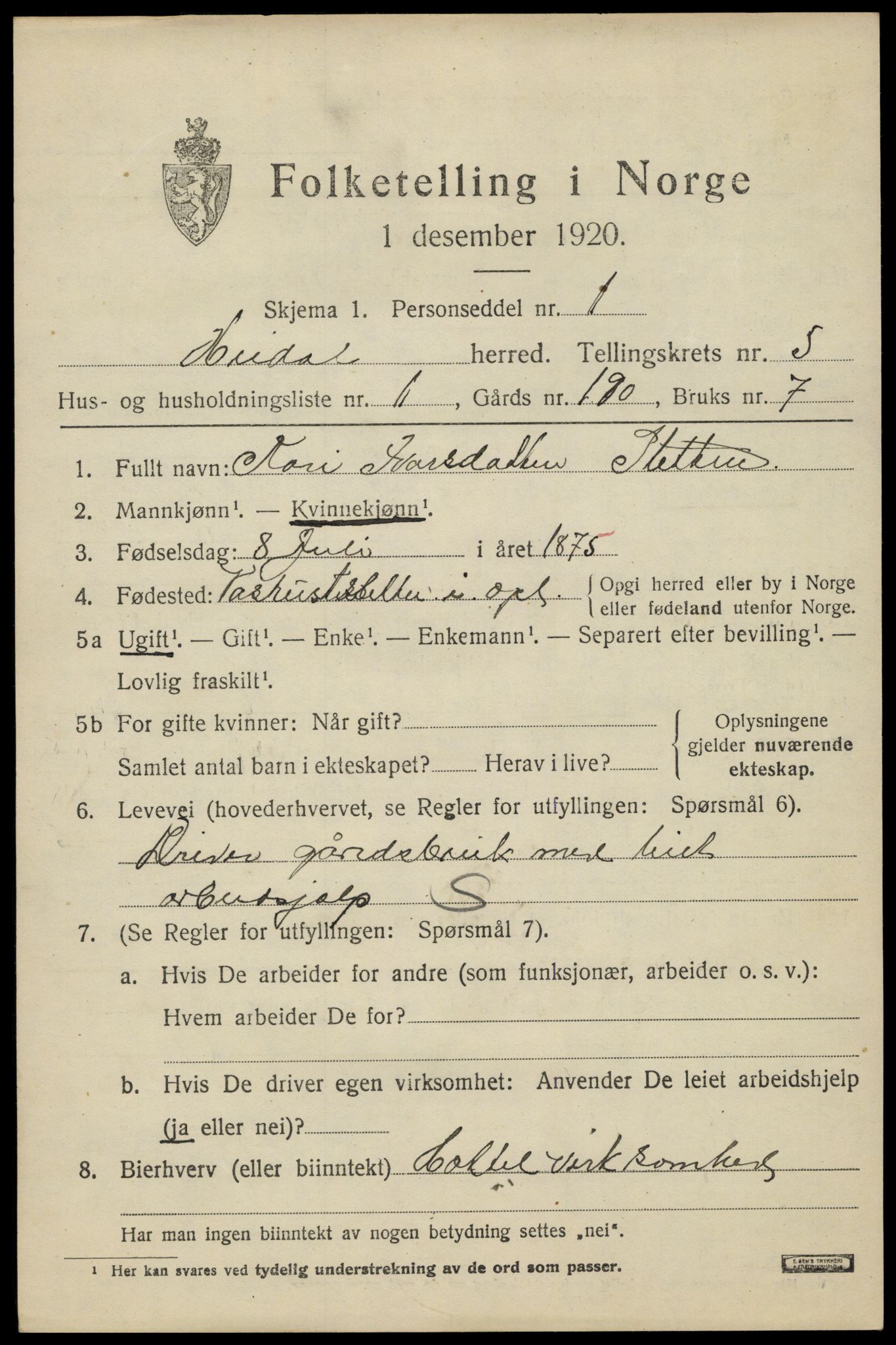 SAH, 1920 census for Heidal, 1920, p. 2362