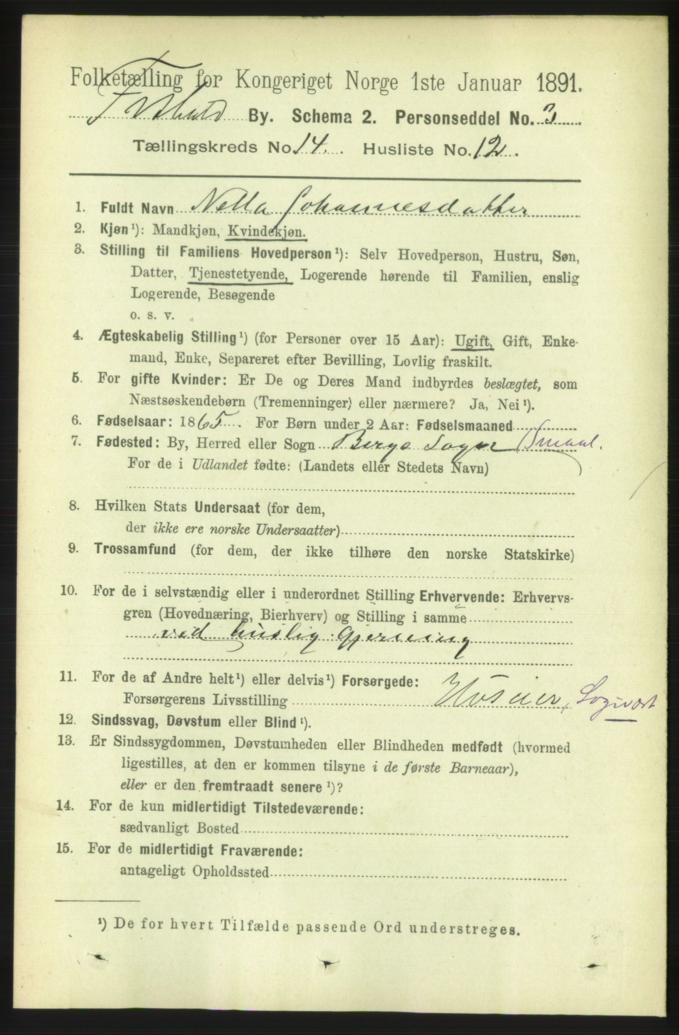 RA, 1891 census for 0101 Fredrikshald, 1891, p. 9193