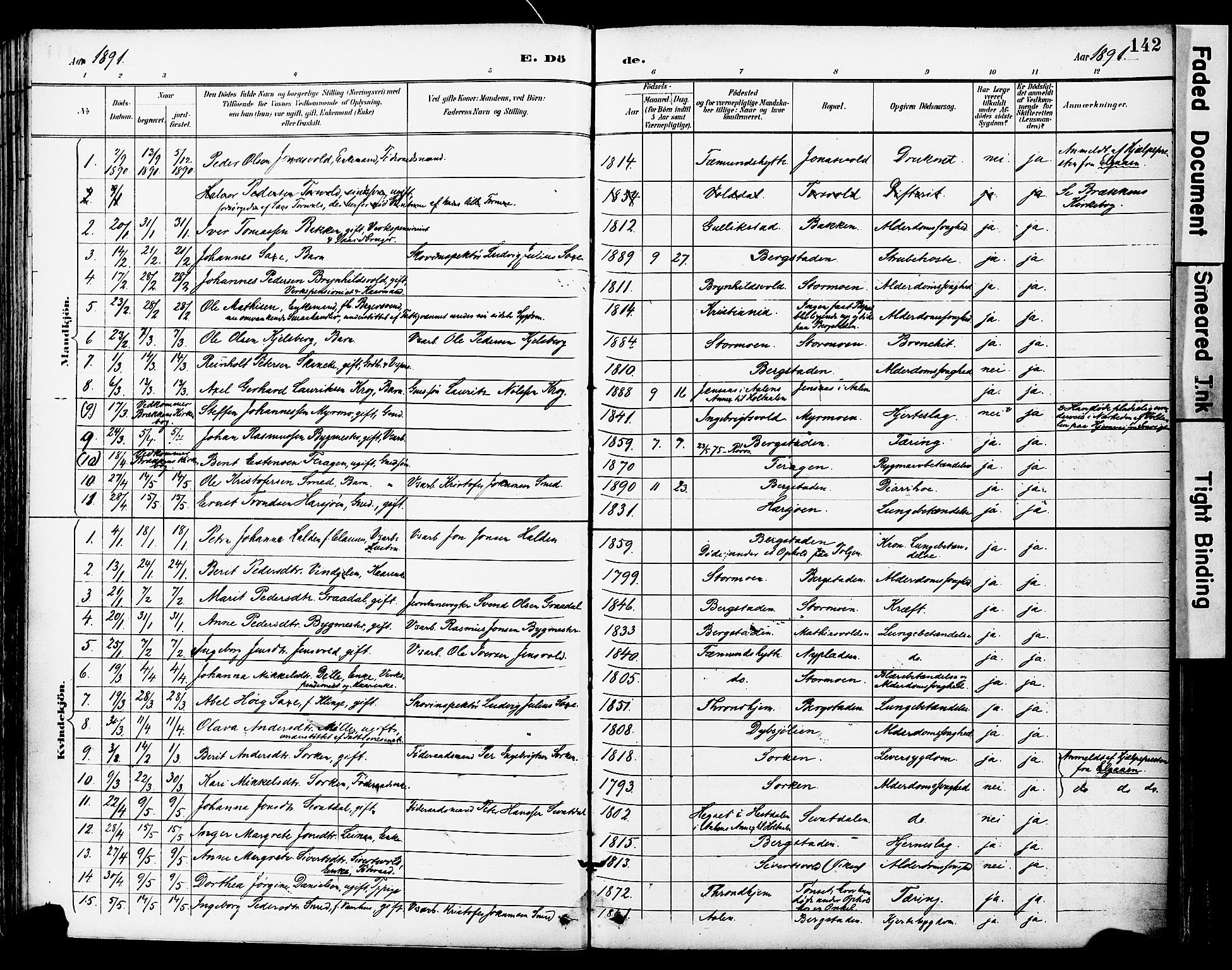 Ministerialprotokoller, klokkerbøker og fødselsregistre - Sør-Trøndelag, SAT/A-1456/681/L0935: Parish register (official) no. 681A13, 1890-1898, p. 142