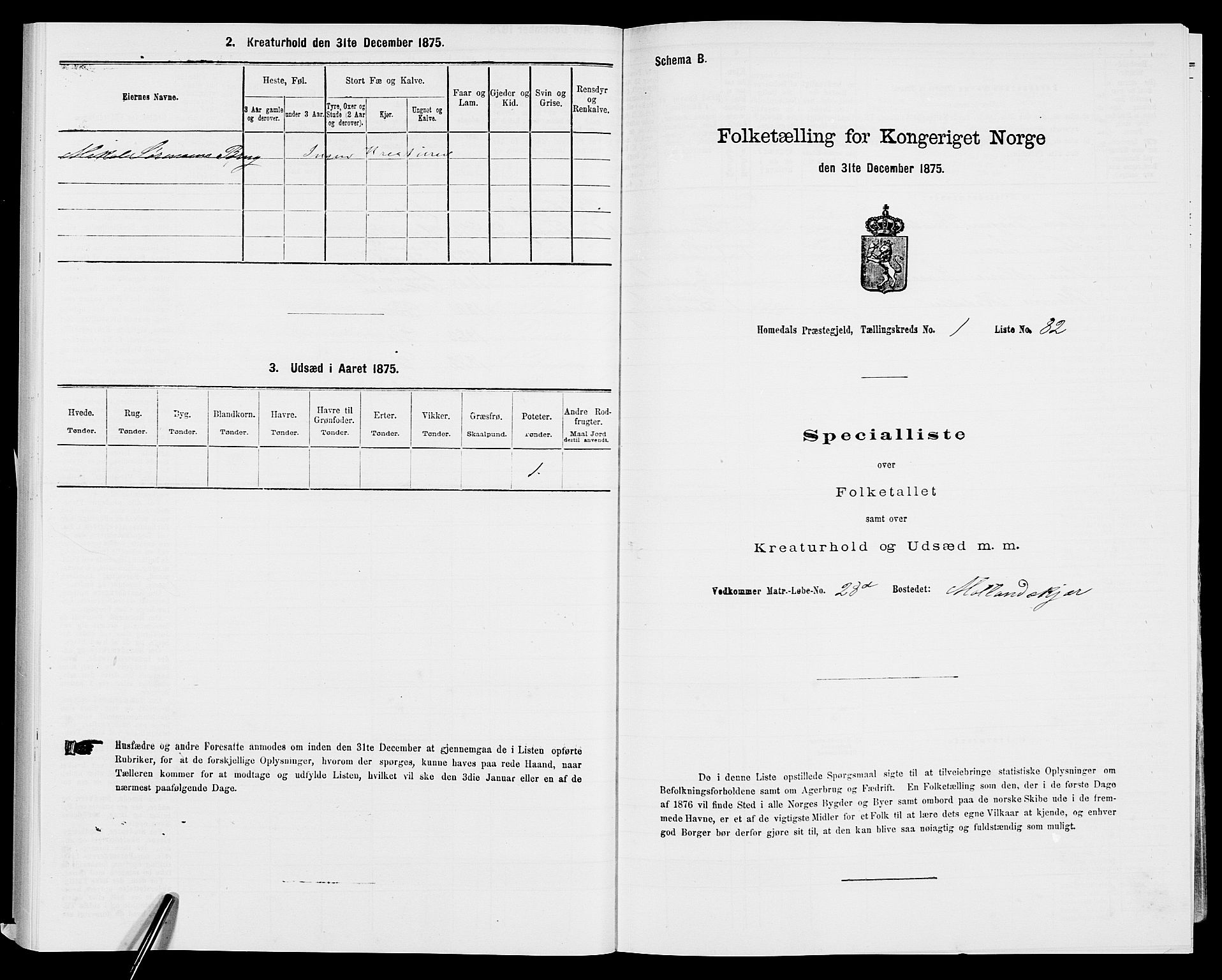 SAK, 1875 census for 0924P Homedal, 1875, p. 519