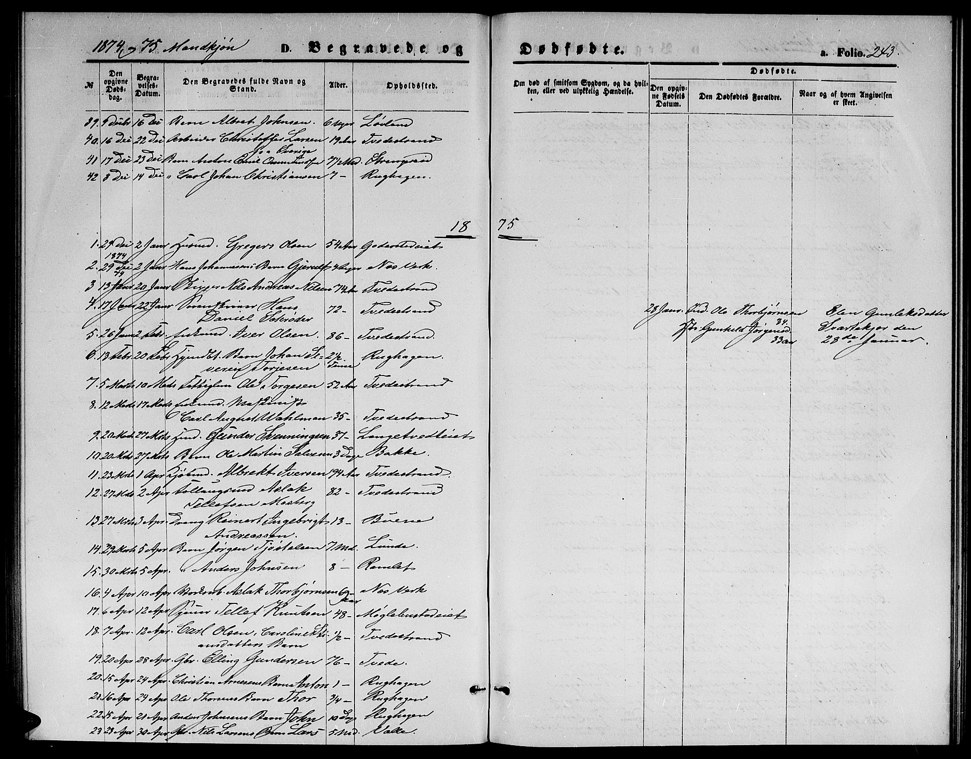 Holt sokneprestkontor, AV/SAK-1111-0021/F/Fb/L0009: Parish register (copy) no. B 9, 1871-1883, p. 243