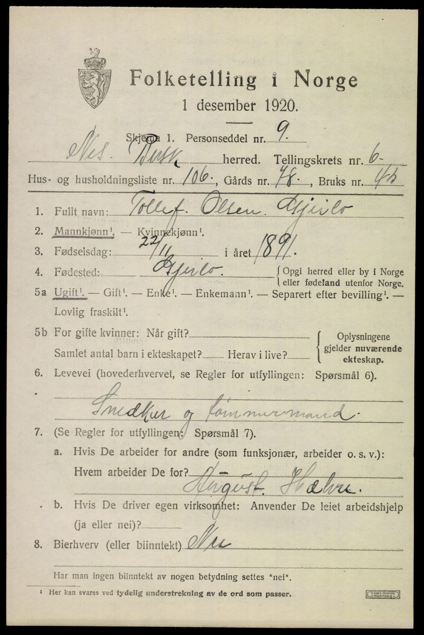 SAKO, 1920 census for Nes (Buskerud), 1920, p. 4352