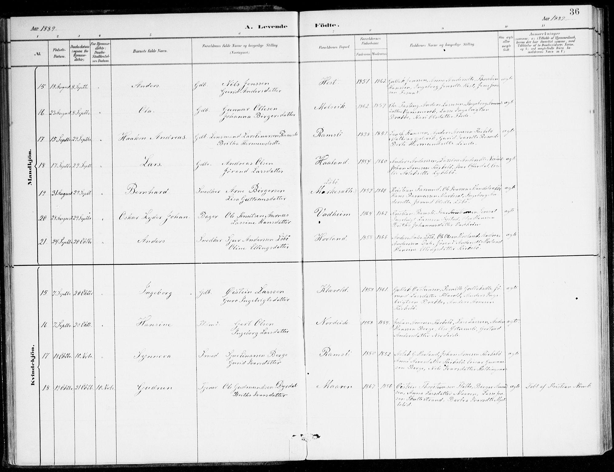 Lavik sokneprestembete, AV/SAB-A-80901: Parish register (official) no. C 1, 1882-1904, p. 36