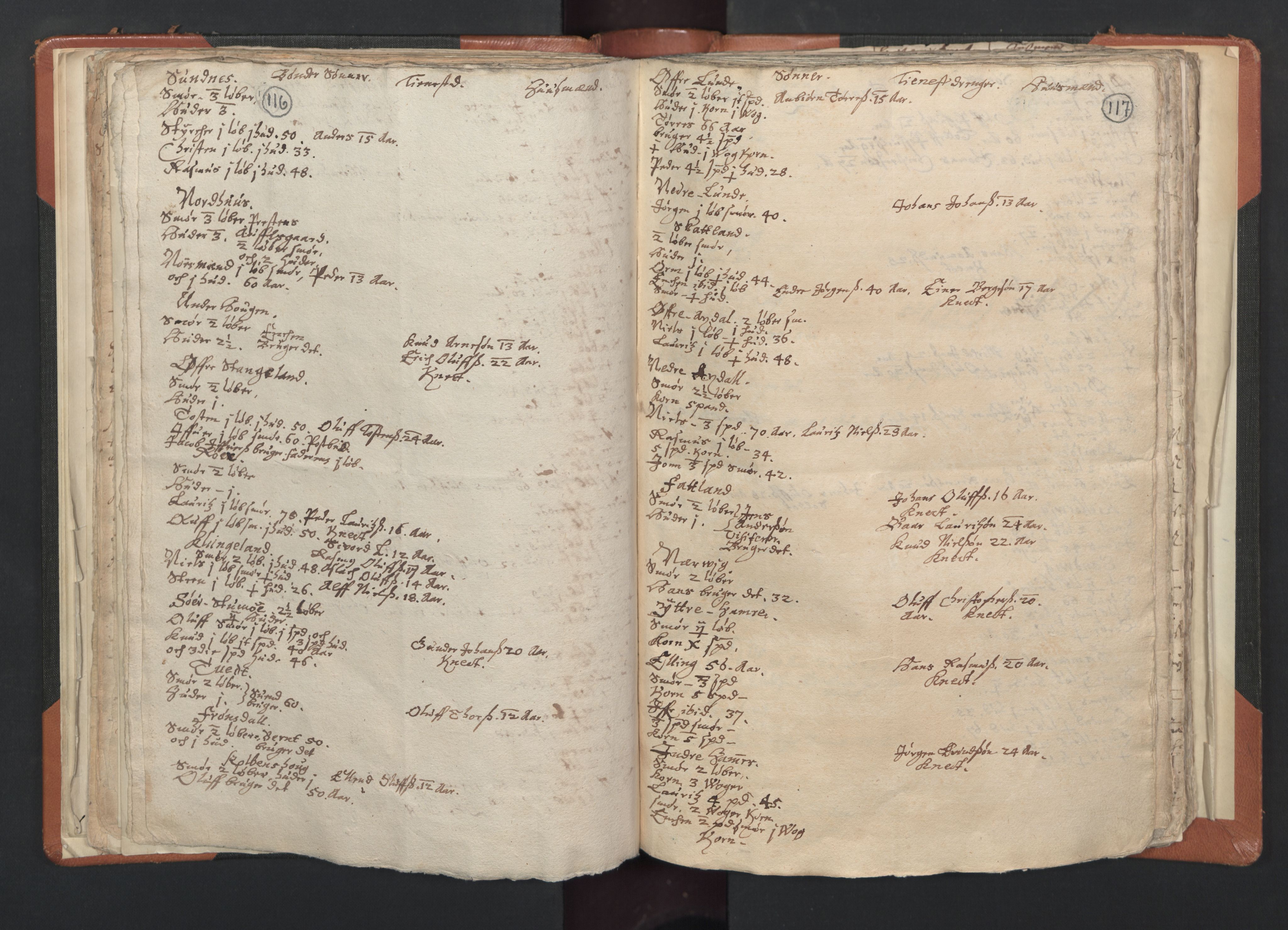 RA, Vicar's Census 1664-1666, no. 20: Sunnhordland deanery, 1664-1666, p. 116-117