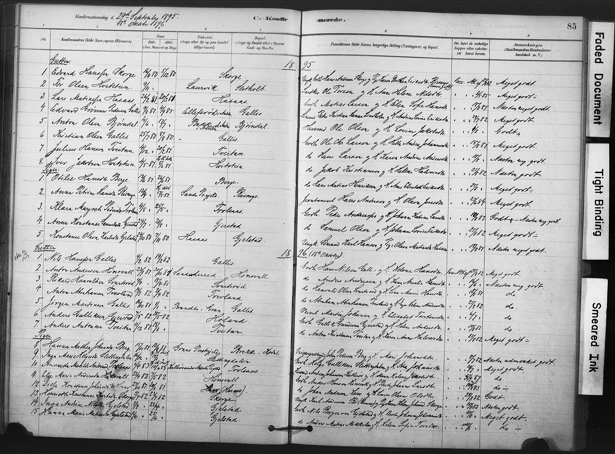 Andebu kirkebøker, AV/SAKO-A-336/F/Fa/L0008: Parish register (official) no. 8, 1878-1902, p. 85