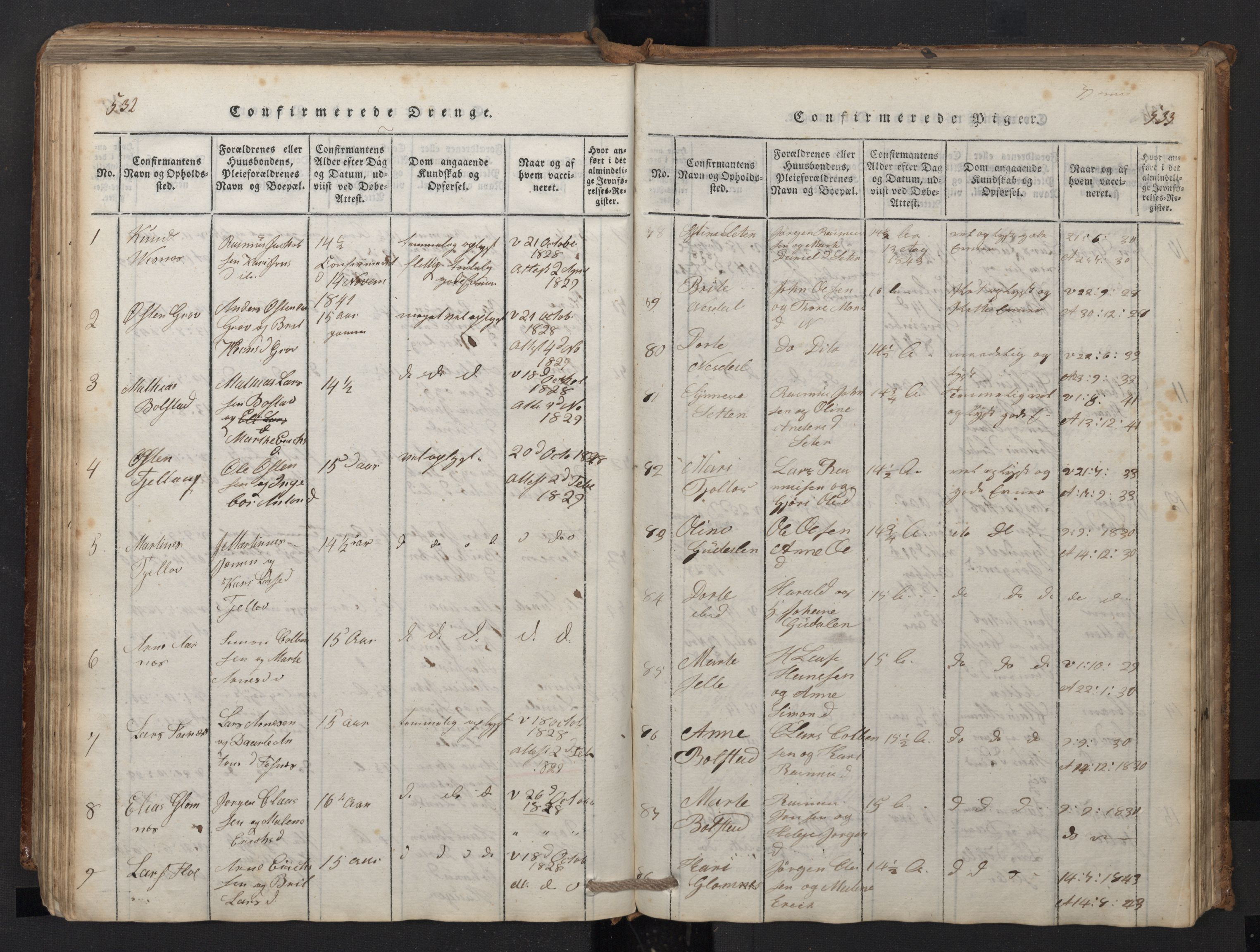 Stryn Sokneprestembete, AV/SAB-A-82501: Parish register (copy) no. A 1, 1816-1844, p. 532-533