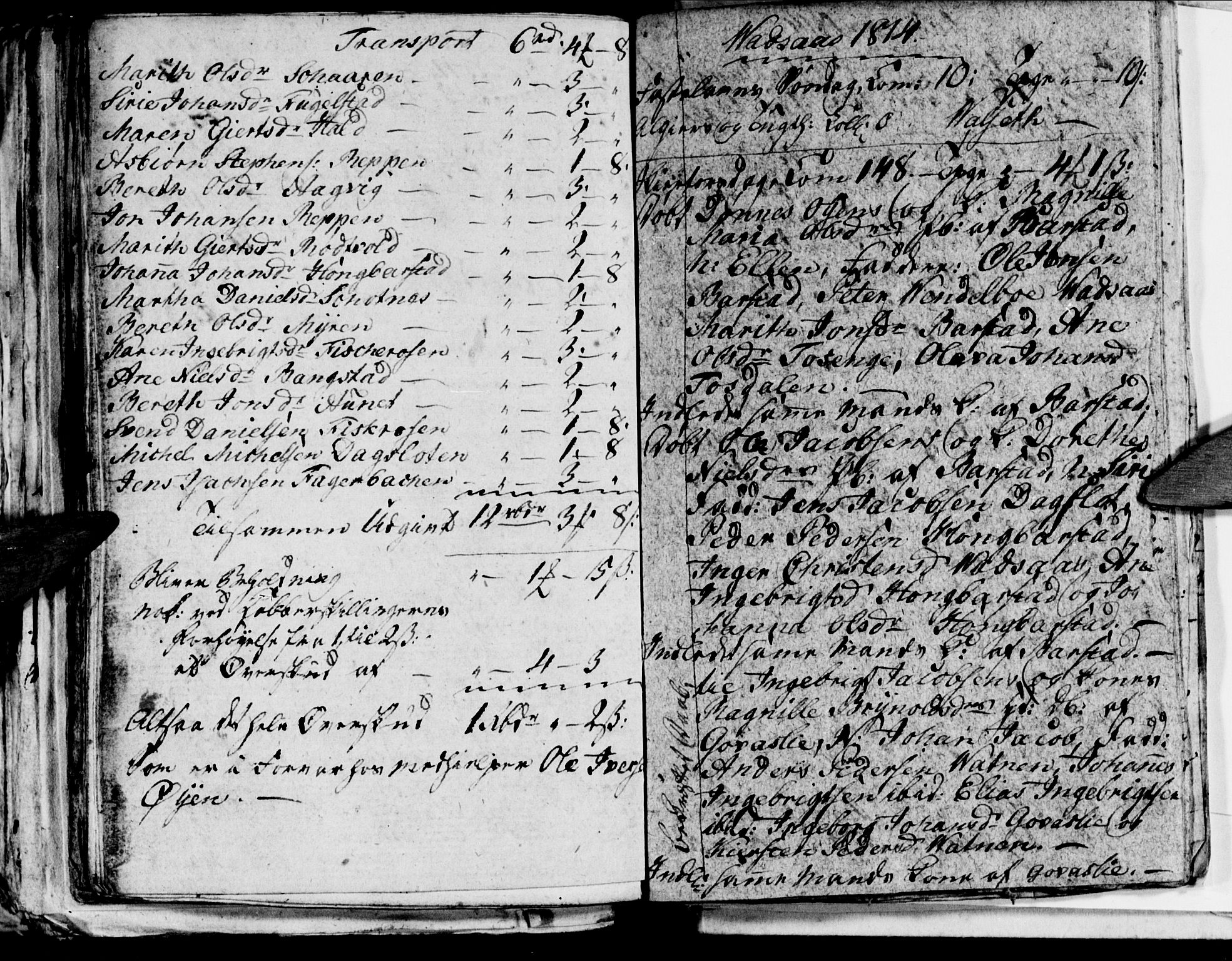 Ministerialprotokoller, klokkerbøker og fødselsregistre - Nordland, AV/SAT-A-1459/810/L0139: Parish register (official) no. 810A03, 1785-1816