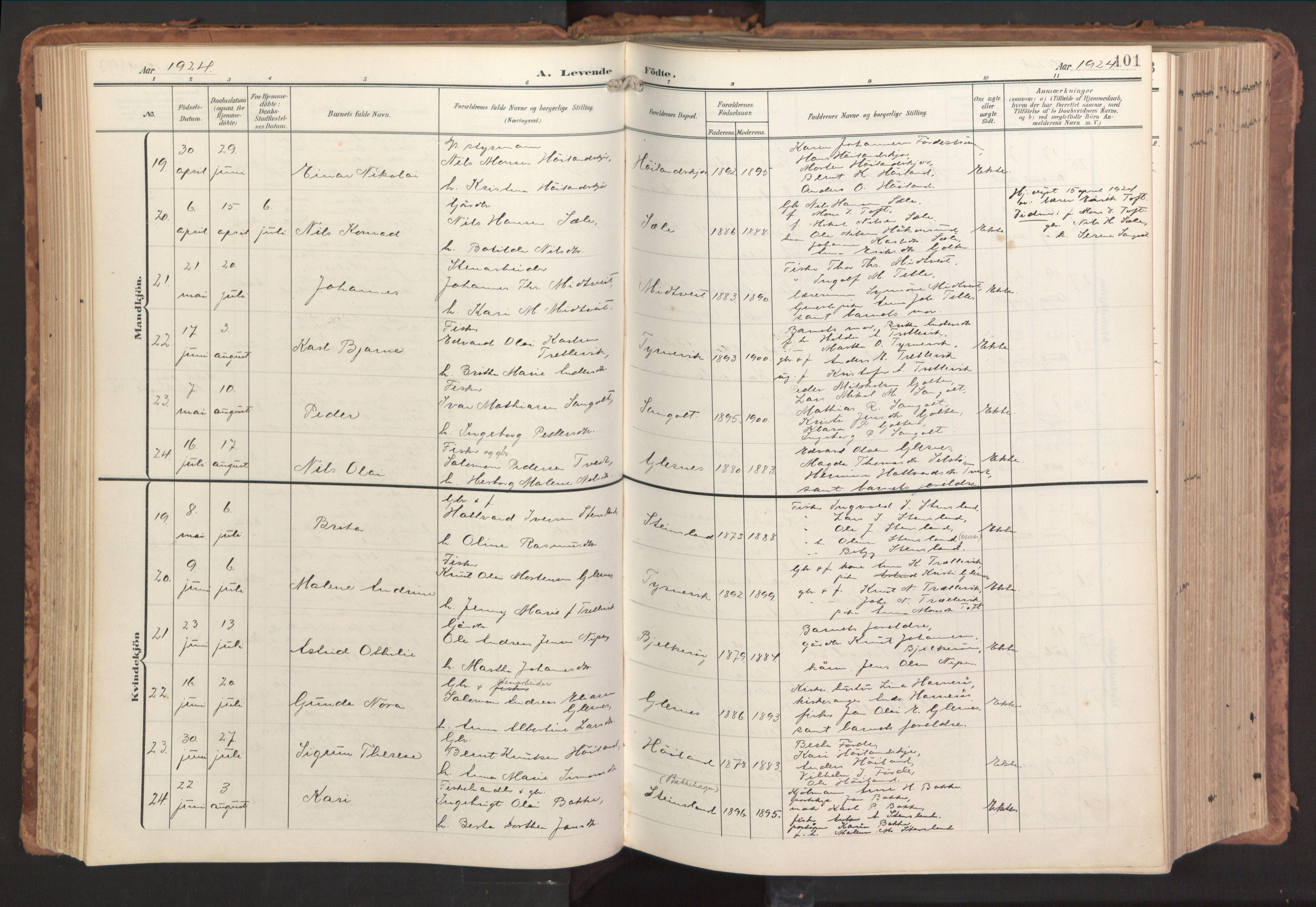 Sund sokneprestembete, AV/SAB-A-99930: Parish register (official) no. B 2, 1907-1926, p. 101