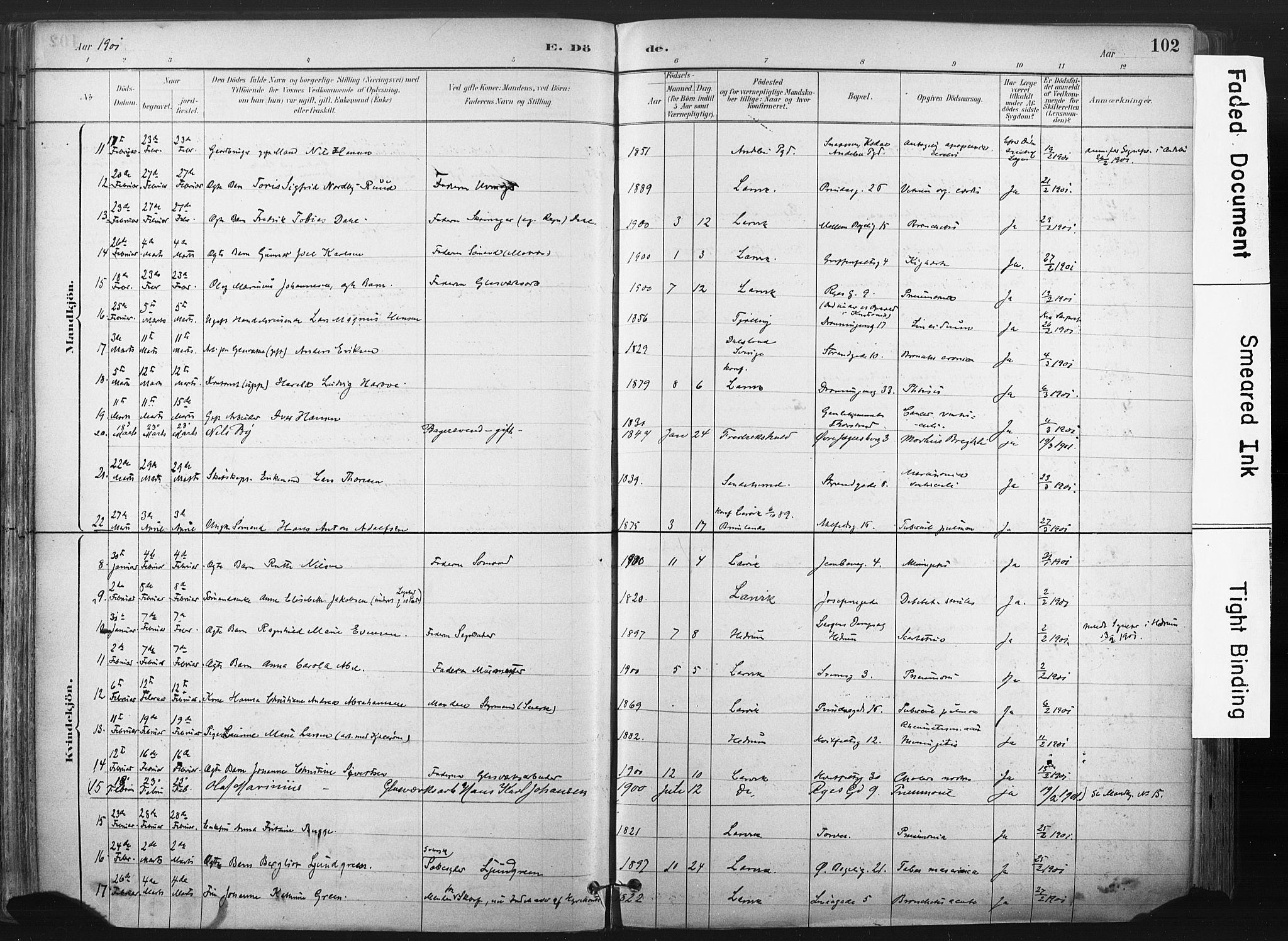 Larvik kirkebøker, SAKO/A-352/F/Fa/L0010: Parish register (official) no. I 10, 1884-1910, p. 102