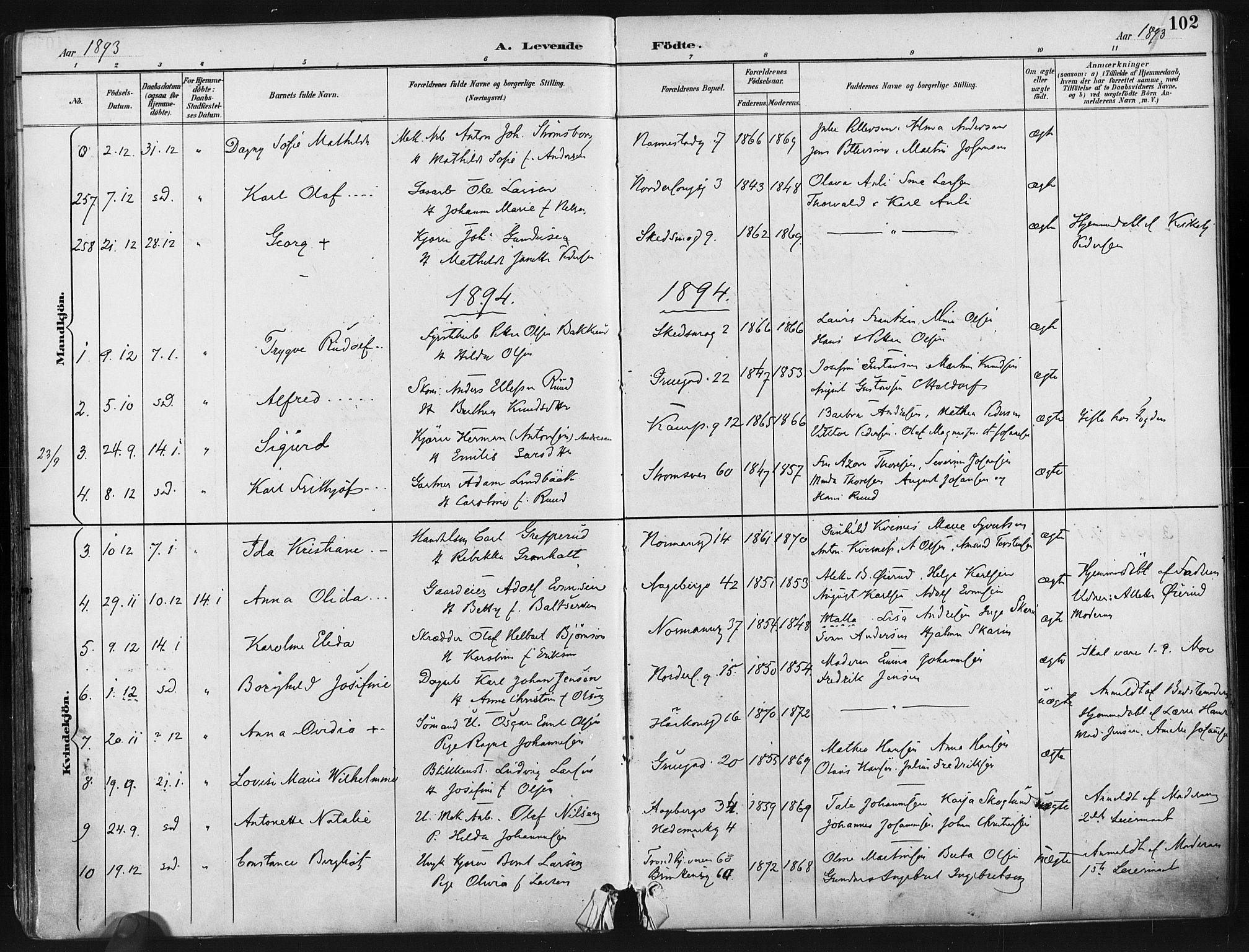 Kampen prestekontor Kirkebøker, AV/SAO-A-10853/F/Fa/L0005: Parish register (official) no. I 5, 1890-1902, p. 102