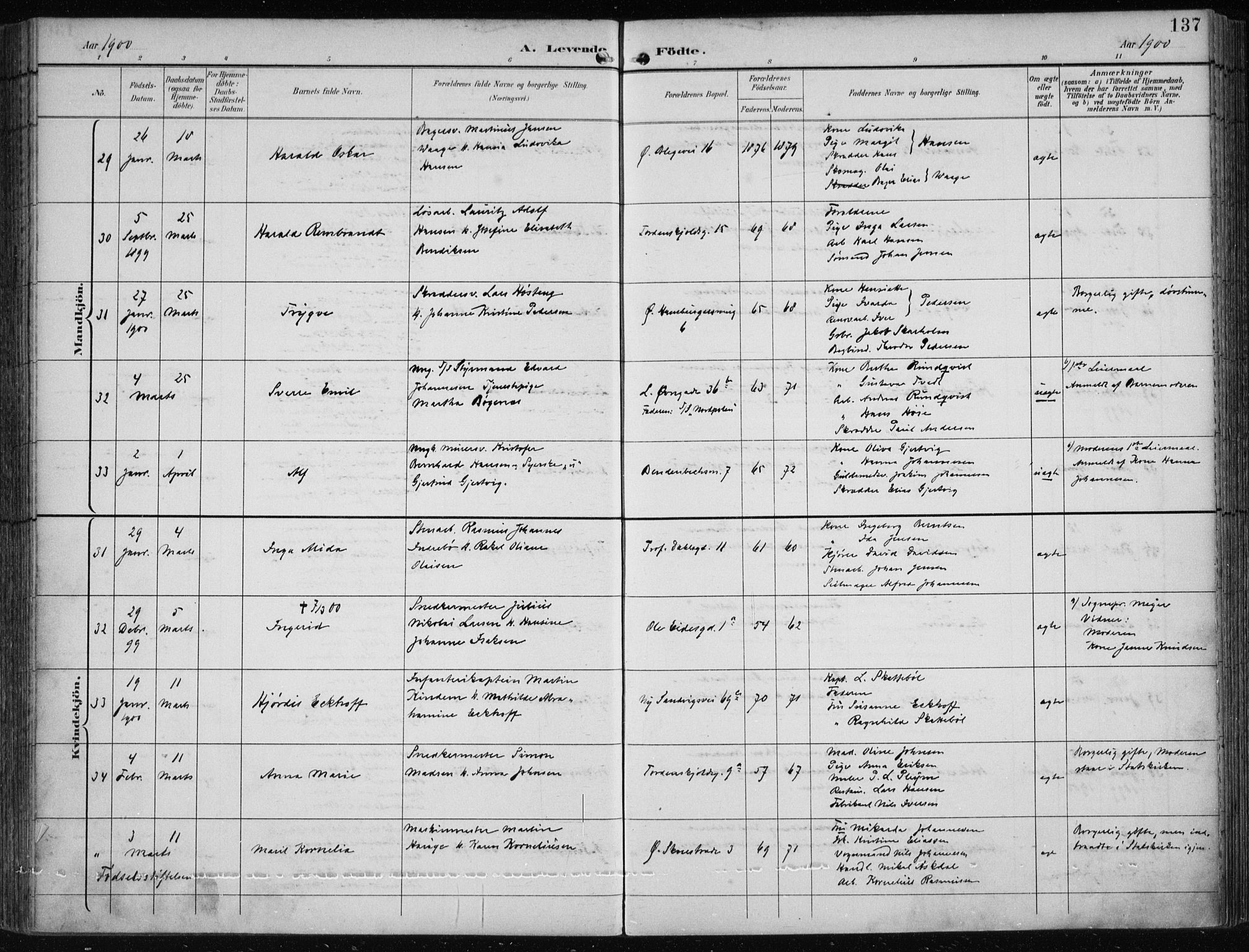Korskirken sokneprestembete, SAB/A-76101/H/Hab: Parish register (copy) no. B 10, 1896-1905, p. 137