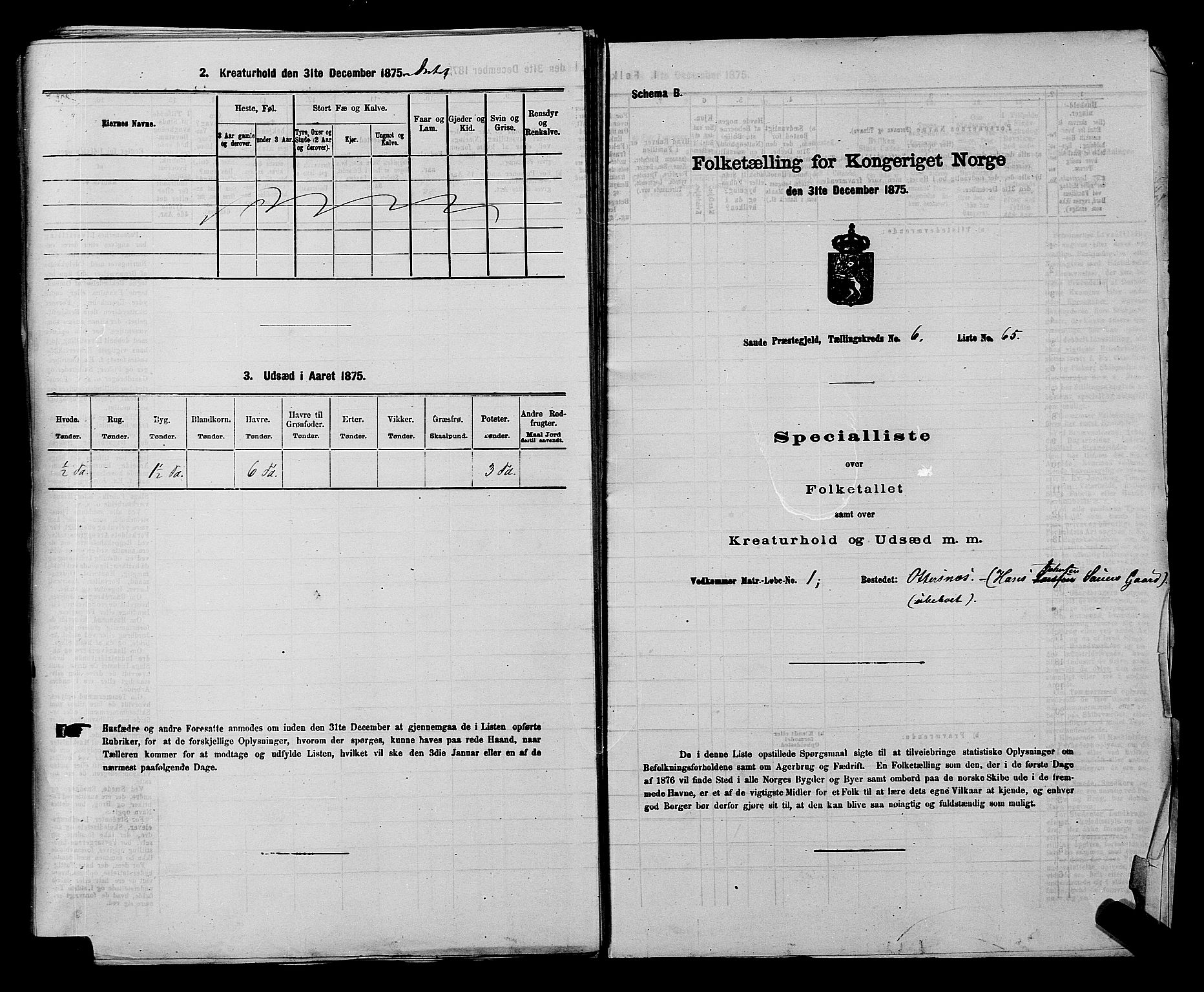 SAKO, 1875 census for 0822P Sauherad, 1875, p. 818