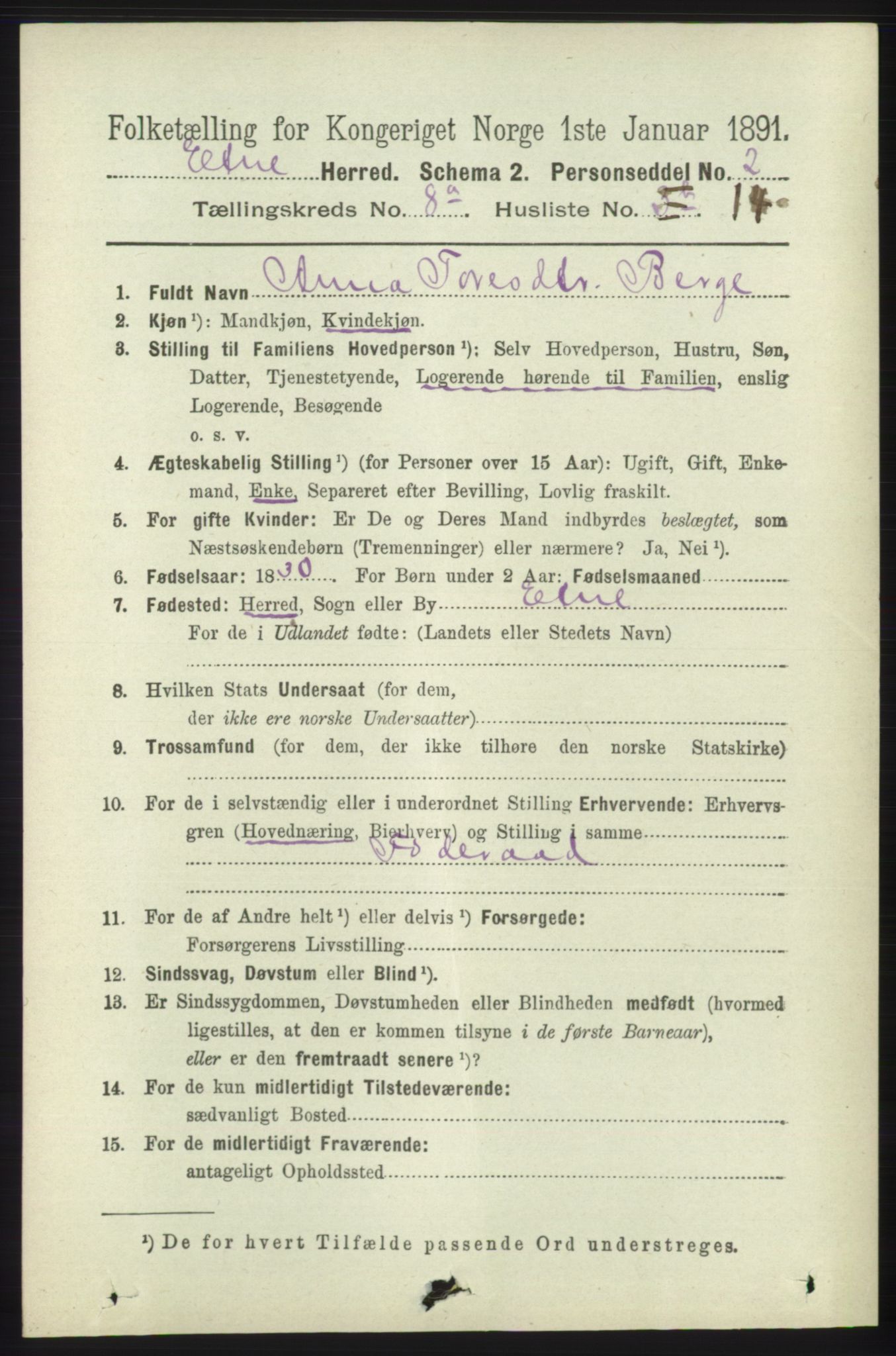 RA, 1891 census for 1211 Etne, 1891, p. 1597