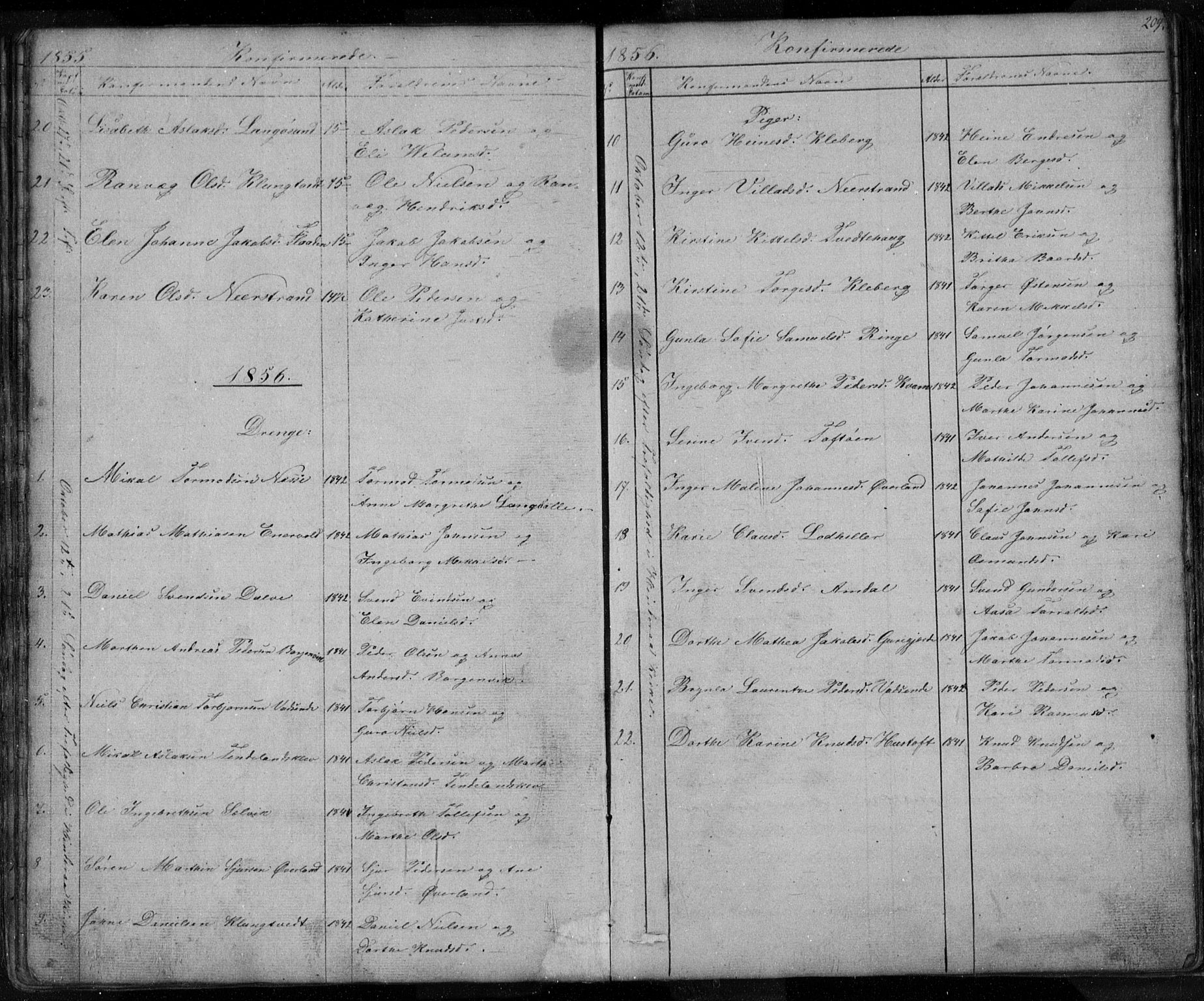 Nedstrand sokneprestkontor, SAST/A-101841/01/V: Parish register (copy) no. B 3, 1848-1933, p. 209