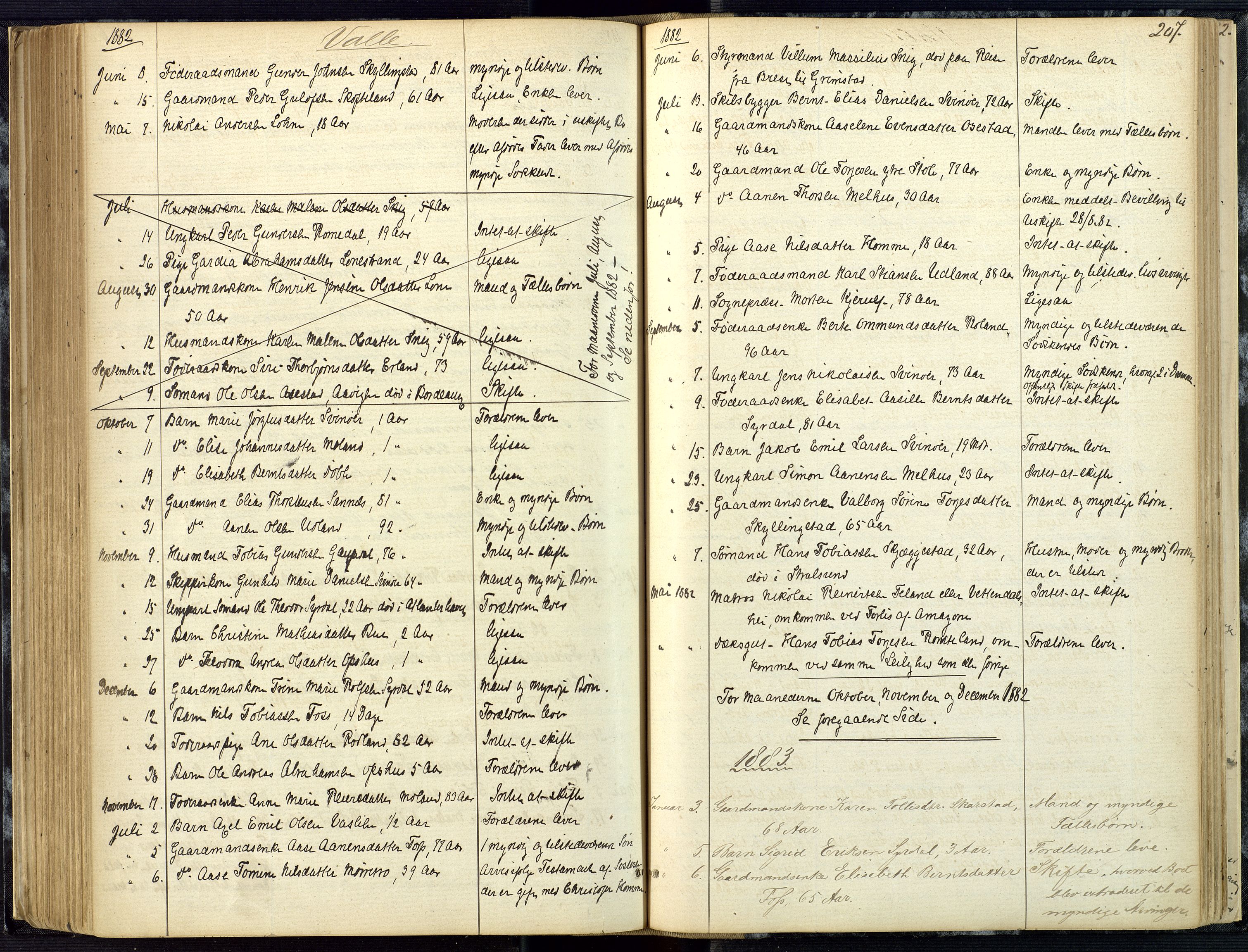 Mandal sorenskriveri, AV/SAK-1221-0005/001/H/Ha/L0001: Dødsfall hele sorenskriveriet nr A1, 1862-1901, p. 206b-207a
