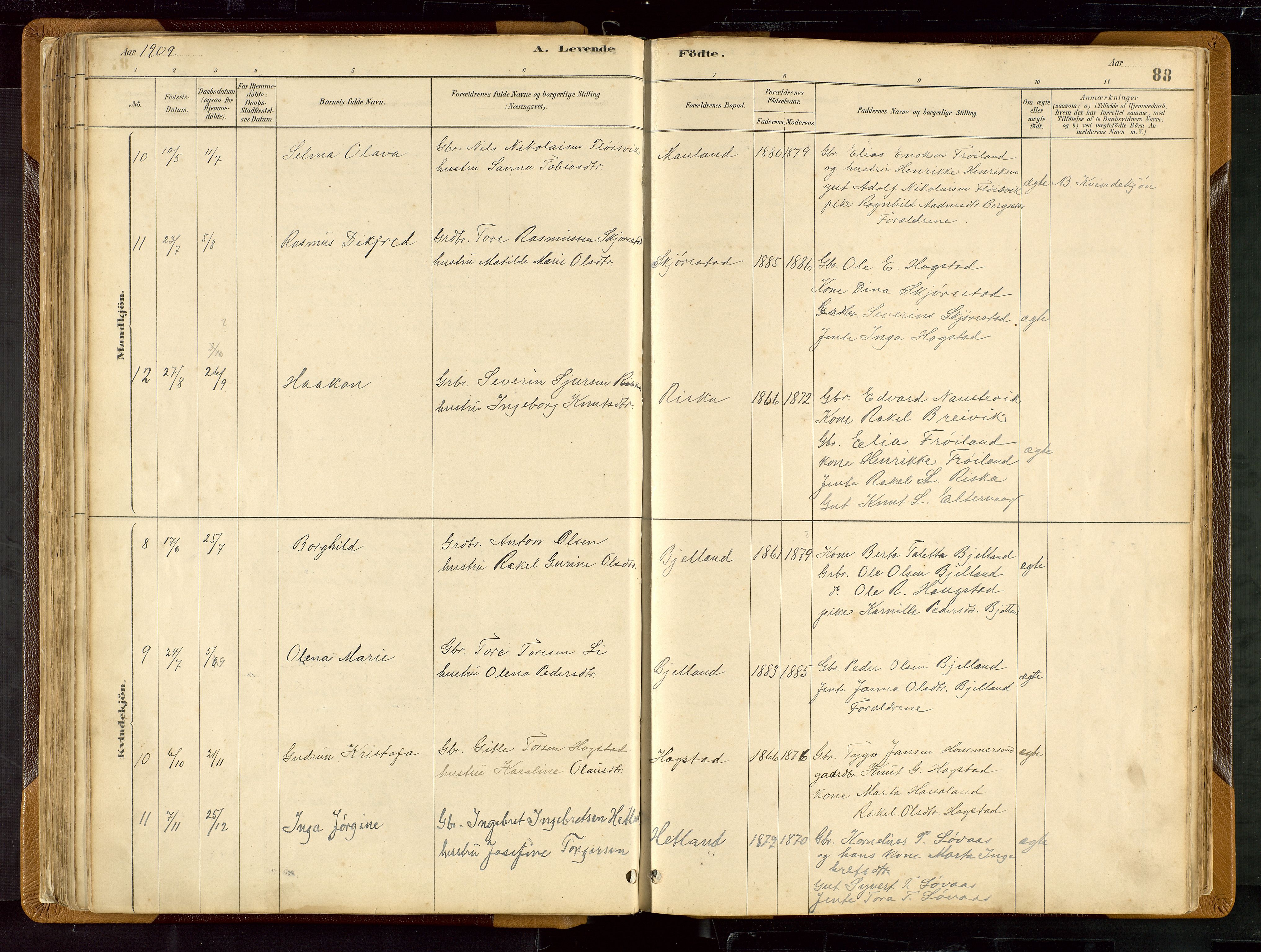 Hetland sokneprestkontor, AV/SAST-A-101826/30/30BB/L0007: Parish register (copy) no. B 7, 1878-1910, p. 88