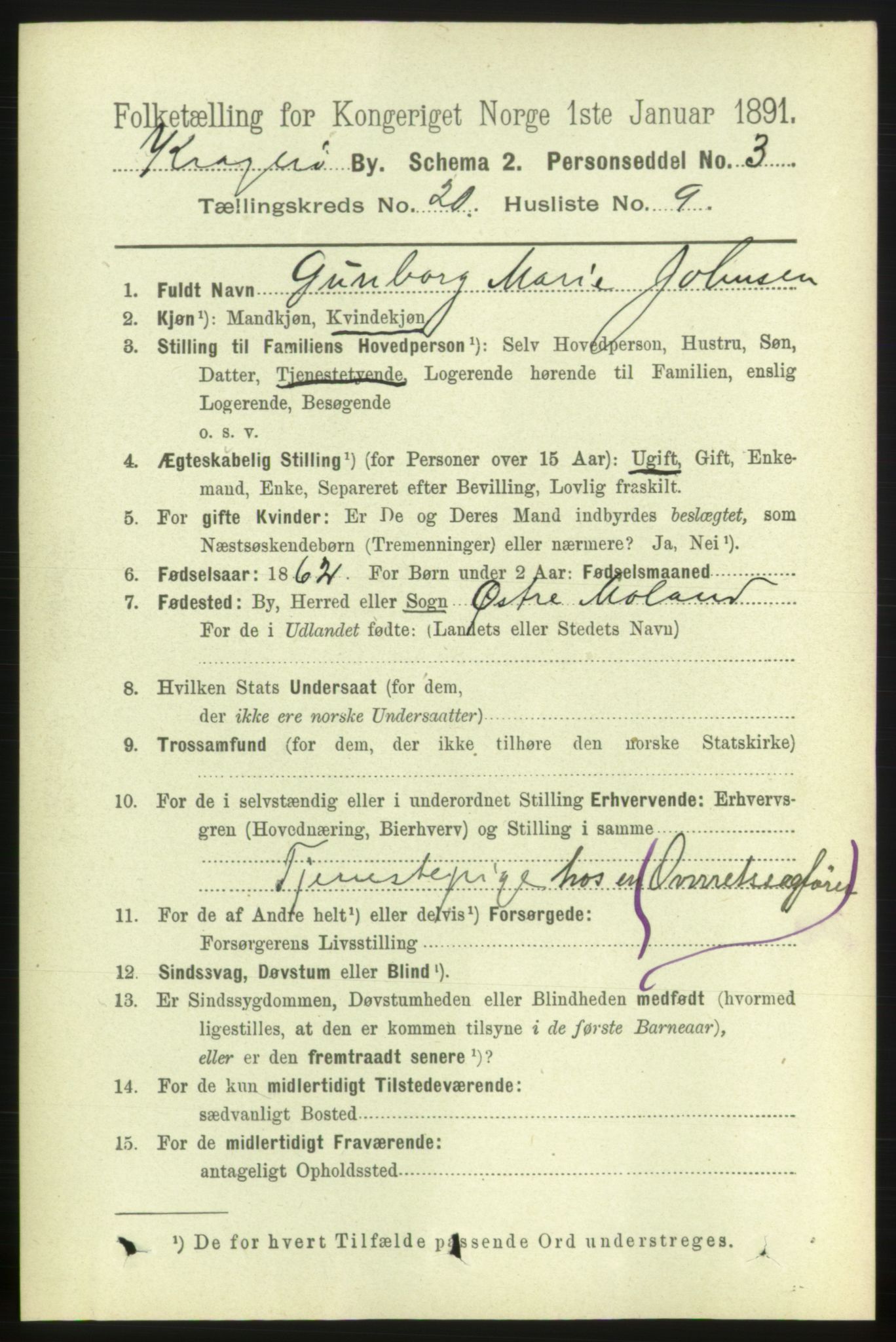 RA, 1891 census for 0801 Kragerø, 1891, p. 4669