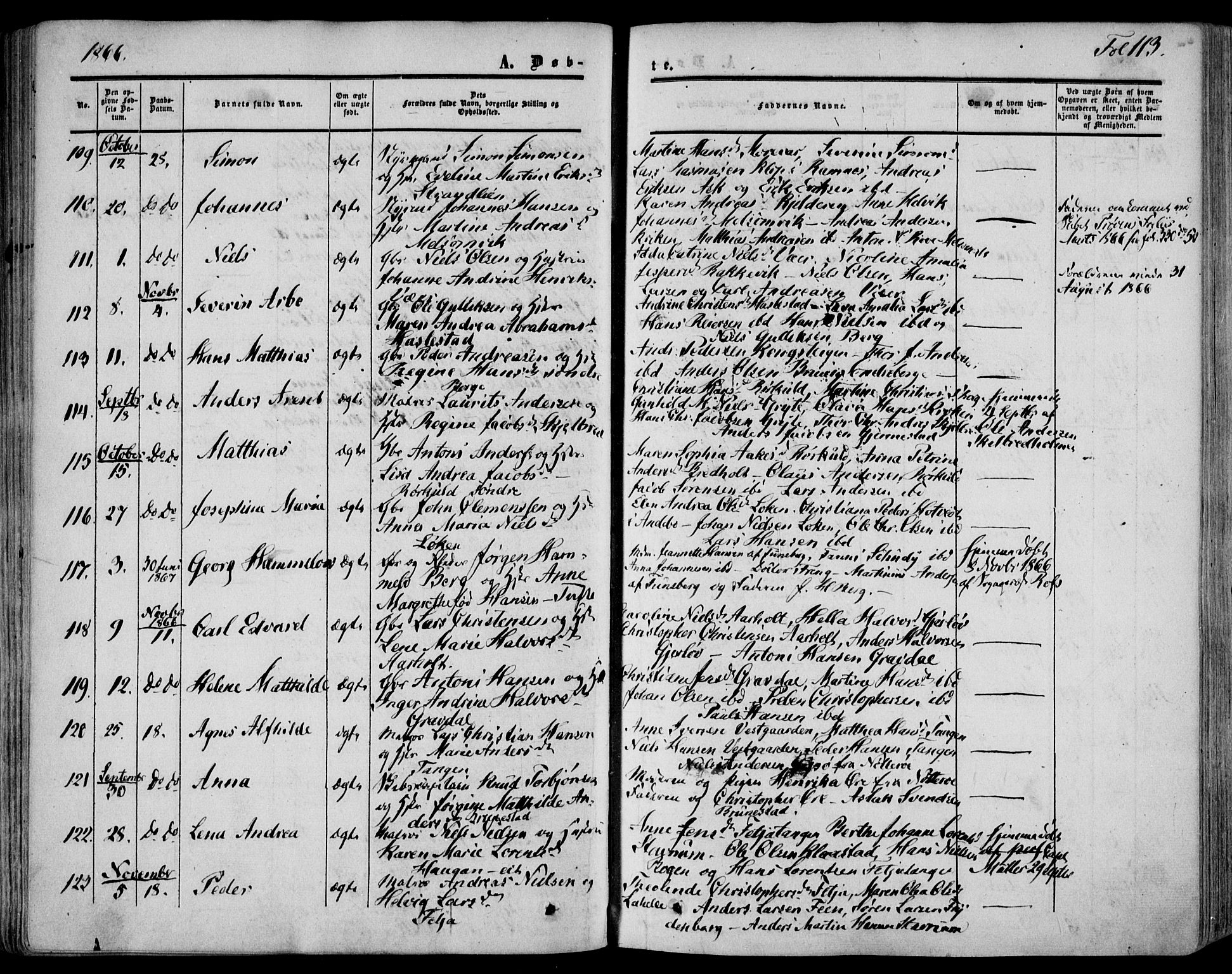 Stokke kirkebøker, AV/SAKO-A-320/F/Fa/L0008: Parish register (official) no. I 8, 1858-1871, p. 113