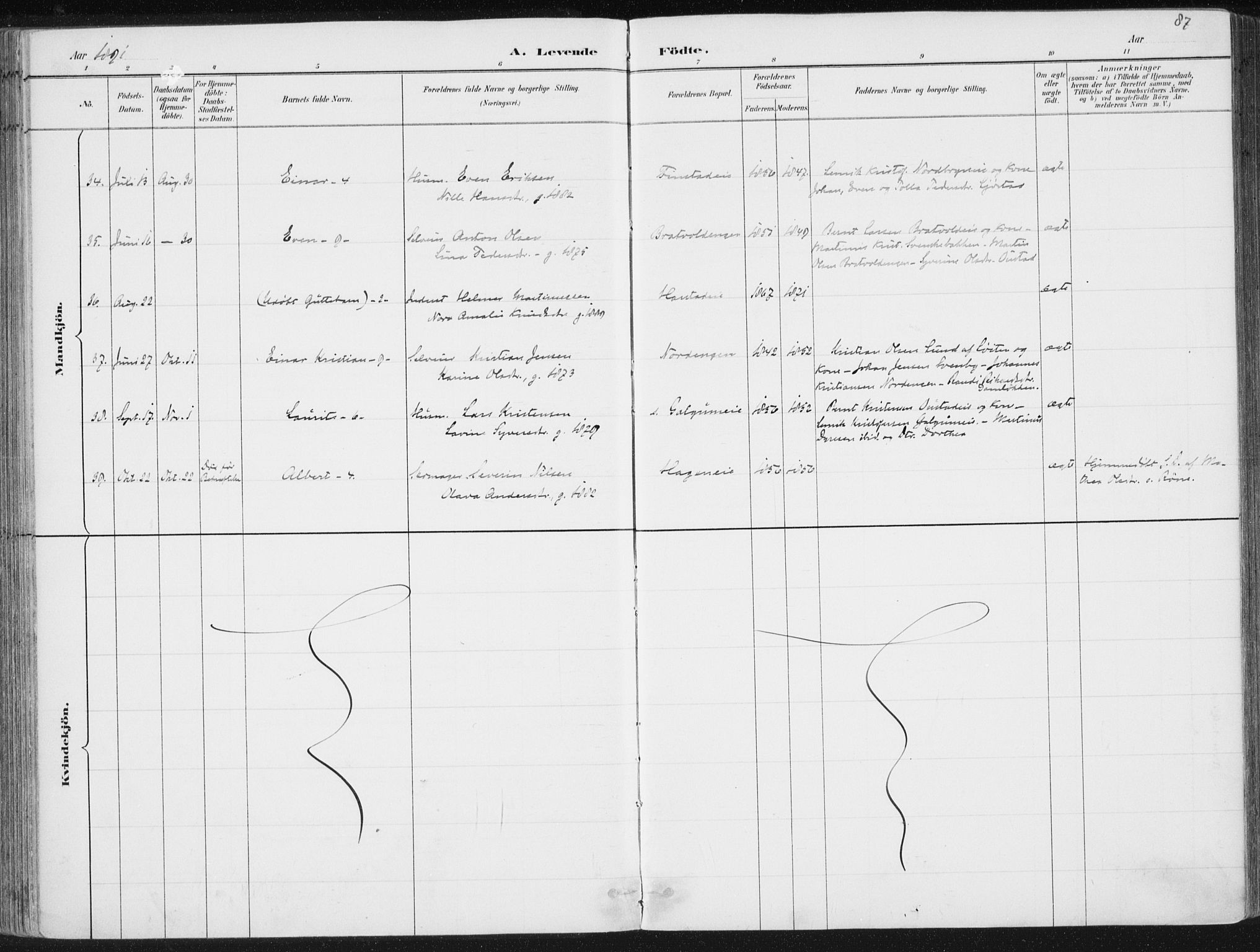 Romedal prestekontor, SAH/PREST-004/K/L0010: Parish register (official) no. 10, 1880-1895, p. 87