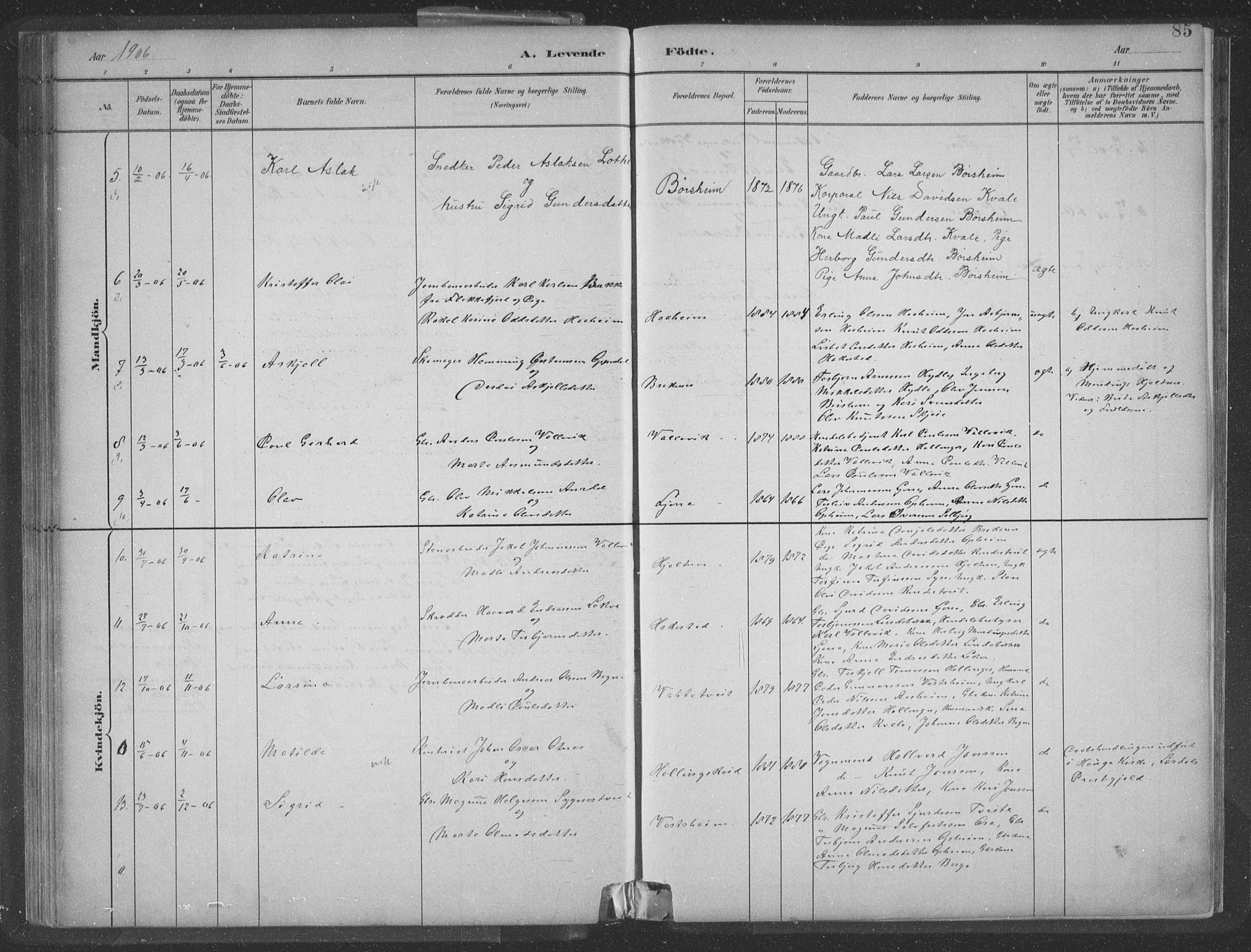 Ulvik sokneprestembete, SAB/A-78801/H/Hab: Parish register (copy) no. A 3, 1883-1908, p. 85
