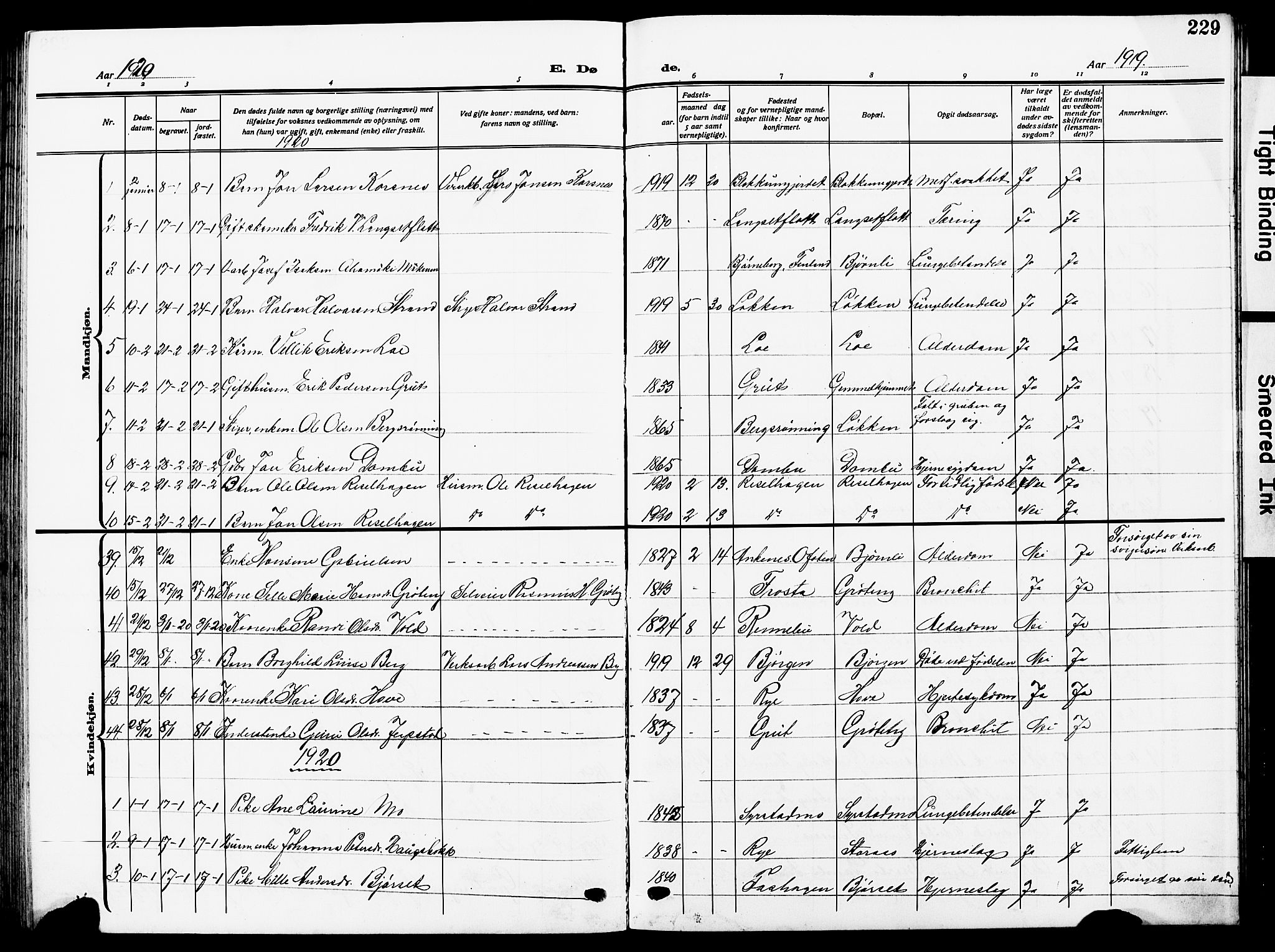Ministerialprotokoller, klokkerbøker og fødselsregistre - Sør-Trøndelag, SAT/A-1456/672/L0865: Parish register (copy) no. 672C04, 1914-1928, p. 229