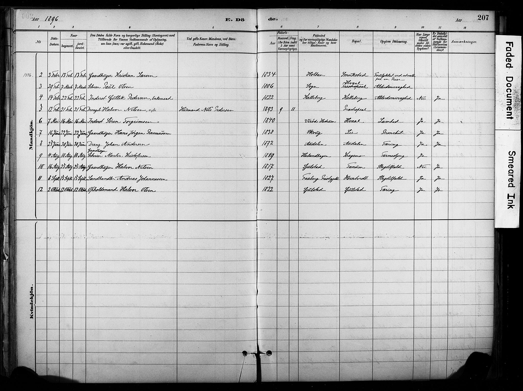 Lardal kirkebøker, AV/SAKO-A-350/F/Fb/L0001: Parish register (official) no. II 1, 1881-1911, p. 207