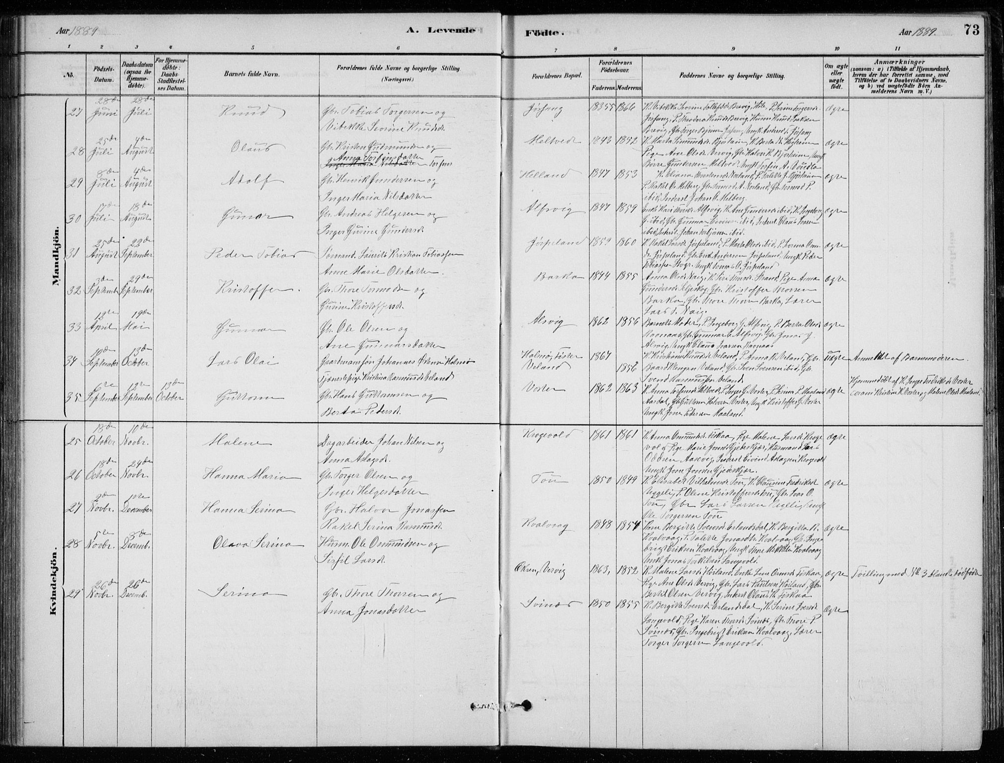 Strand sokneprestkontor, AV/SAST-A-101828/H/Ha/Hab/L0004: Parish register (copy) no. B 4, 1878-1903, p. 73