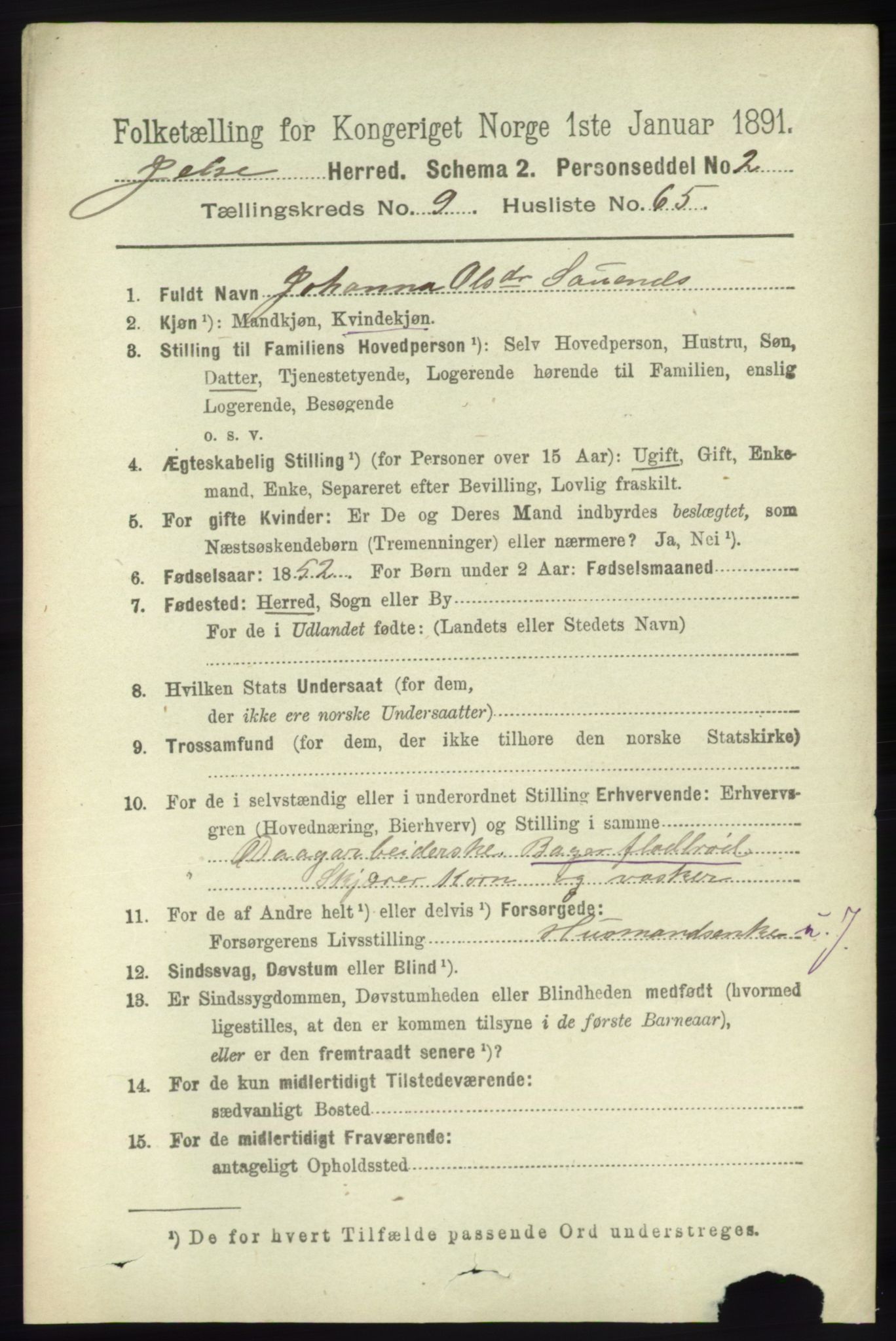 RA, 1891 census for 1138 Jelsa, 1891, p. 2370