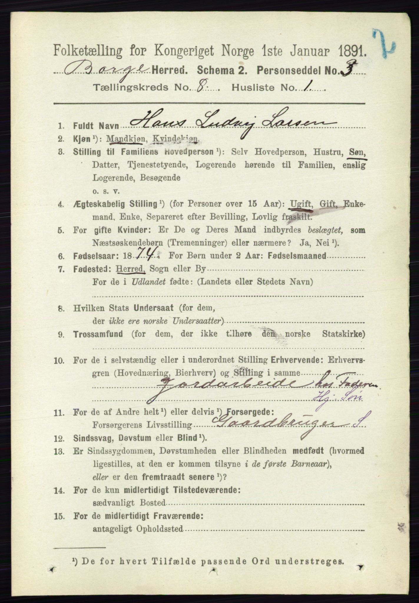 RA, 1891 census for 0113 Borge, 1891, p. 5131