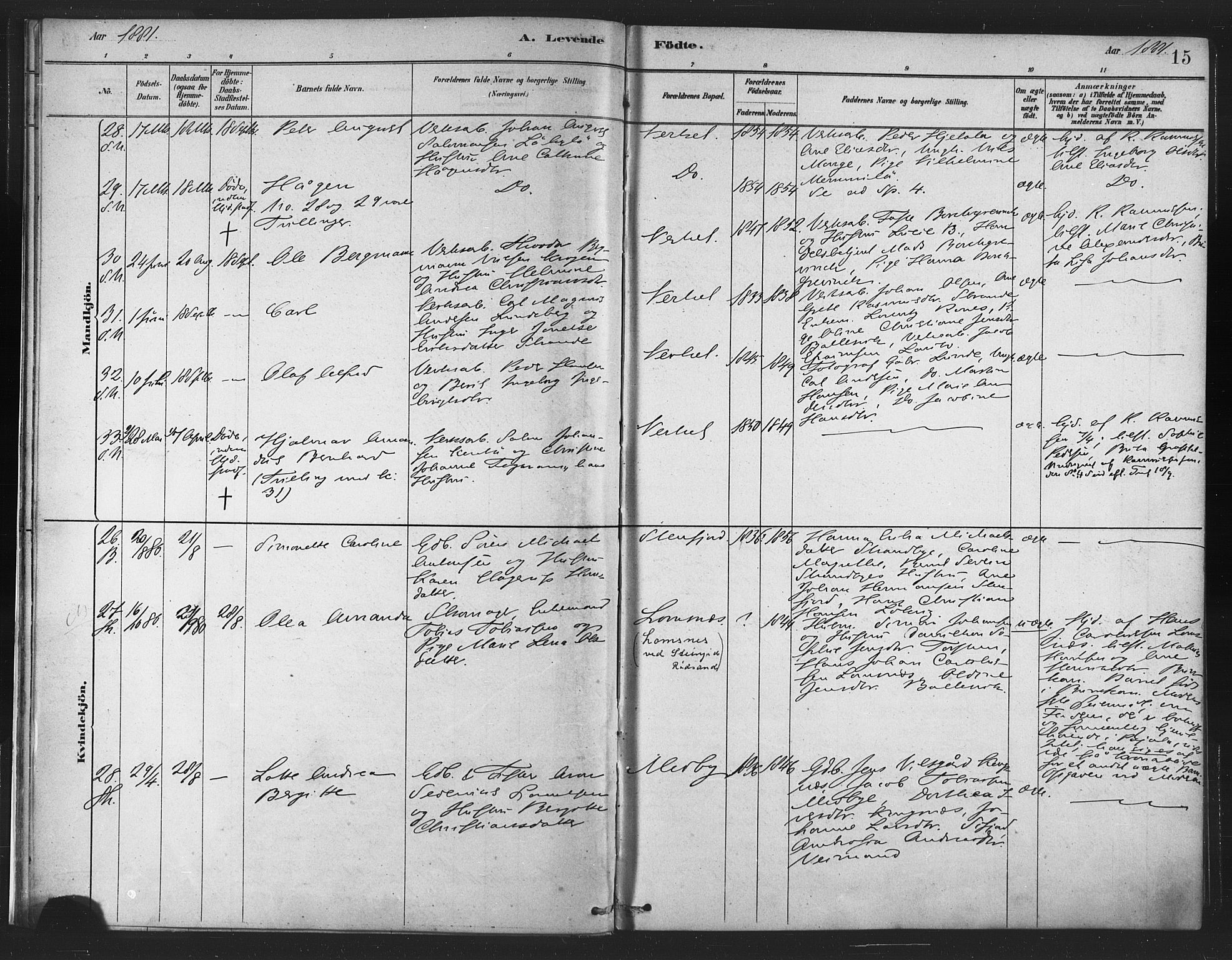 Berg sokneprestkontor, AV/SATØ-S-1318/G/Ga/Gaa/L0004kirke: Parish register (official) no. 4, 1880-1894, p. 15