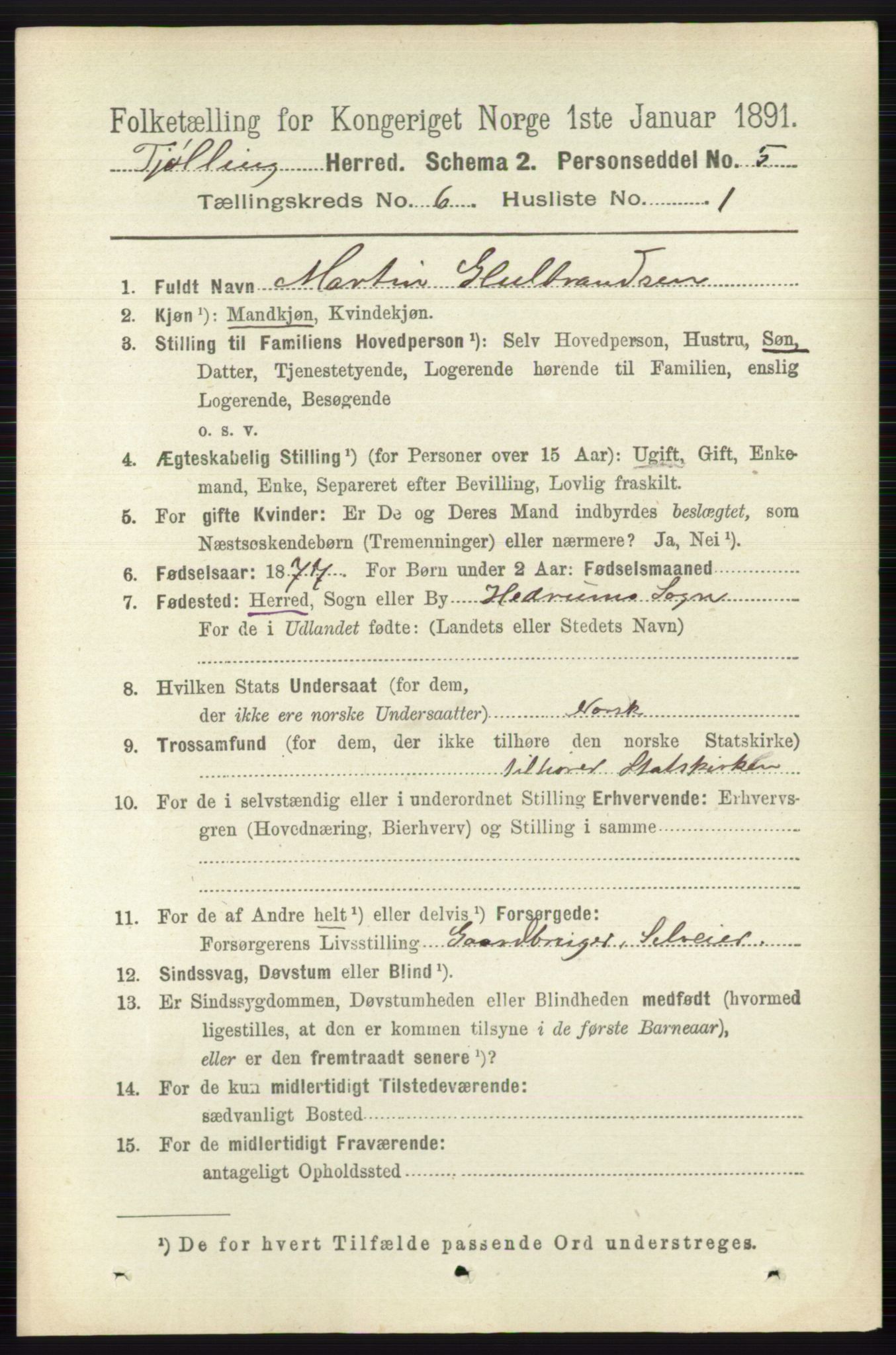 RA, 1891 census for 0725 Tjølling, 1891, p. 2905