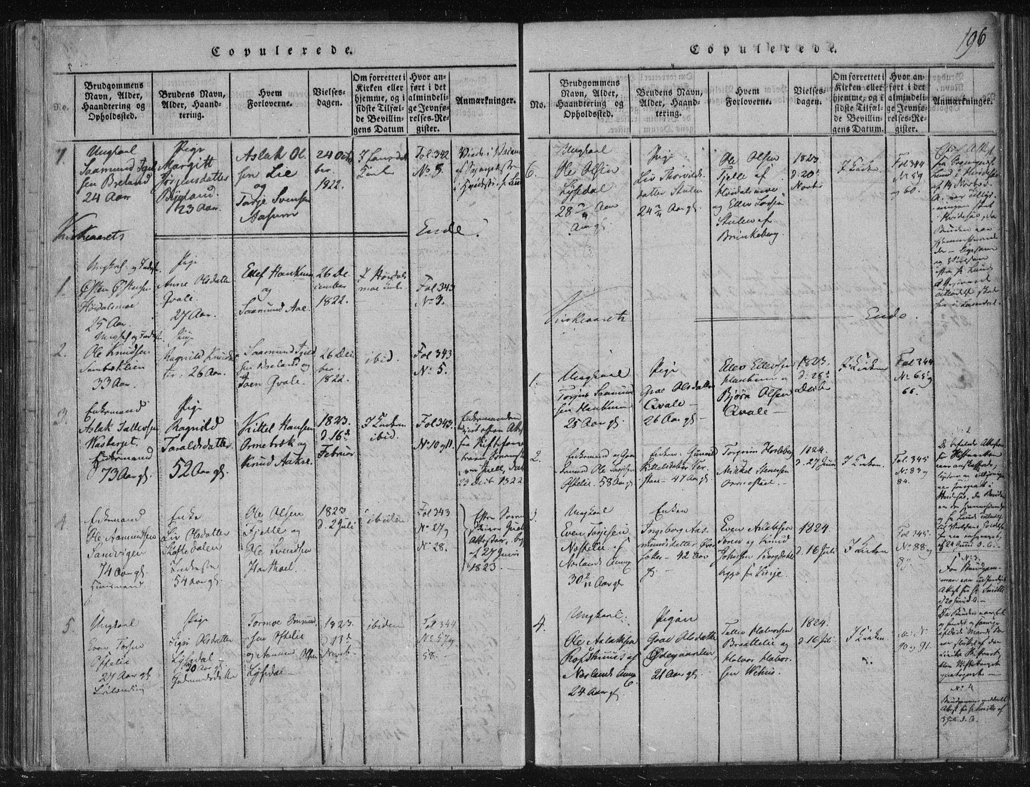Lårdal kirkebøker, SAKO/A-284/F/Fc/L0001: Parish register (official) no. III 1, 1815-1860, p. 196