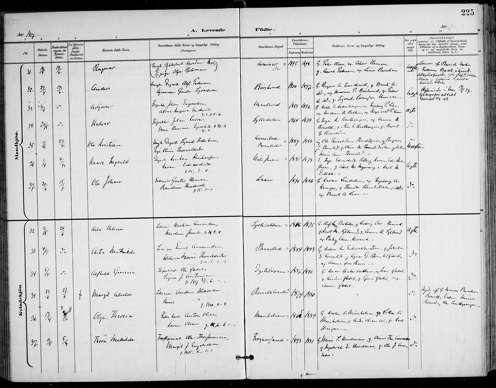 Nes prestekontor Kirkebøker, AV/SAO-A-10410/F/Fa/L0011: Parish register (official) no. I 11, 1899-1918, p. 225